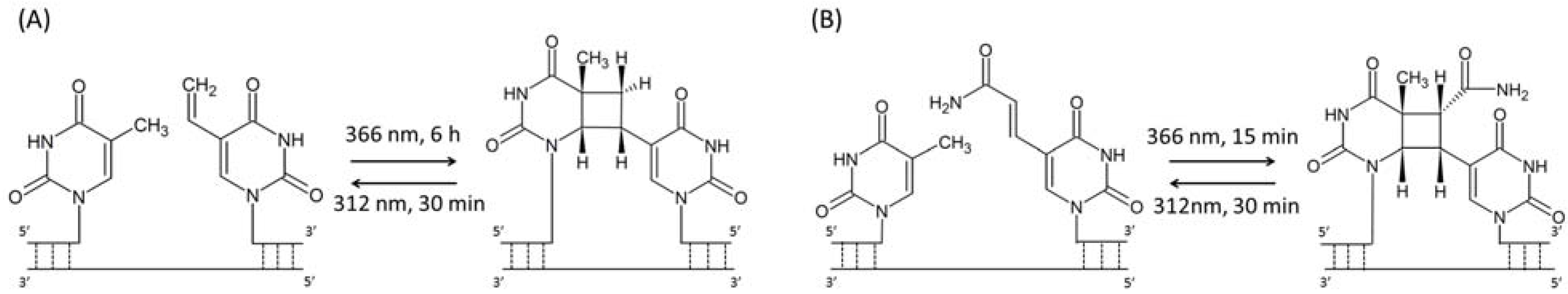 Molecules 17 00163 g009