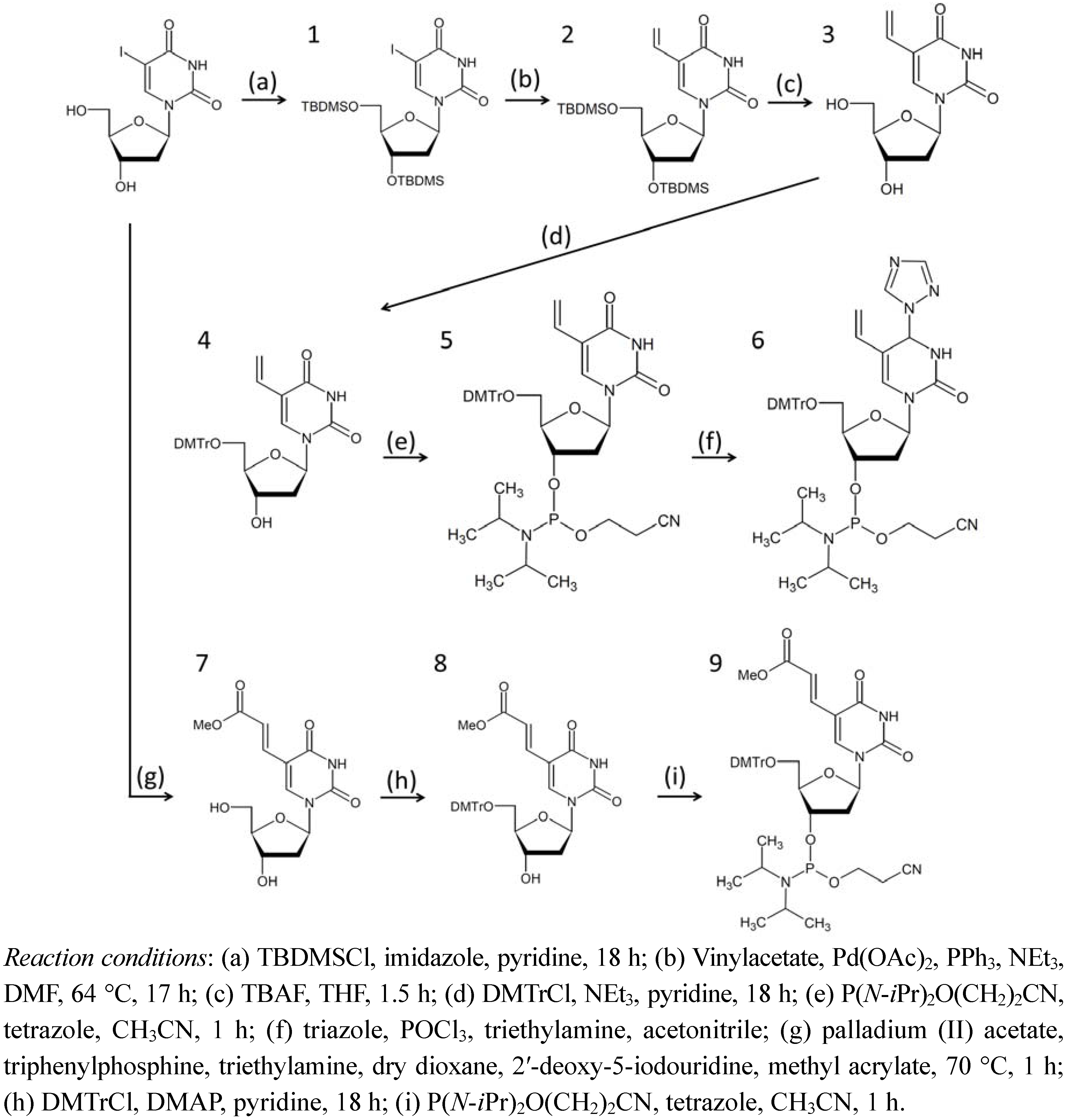 Molecules 17 00163 g010
