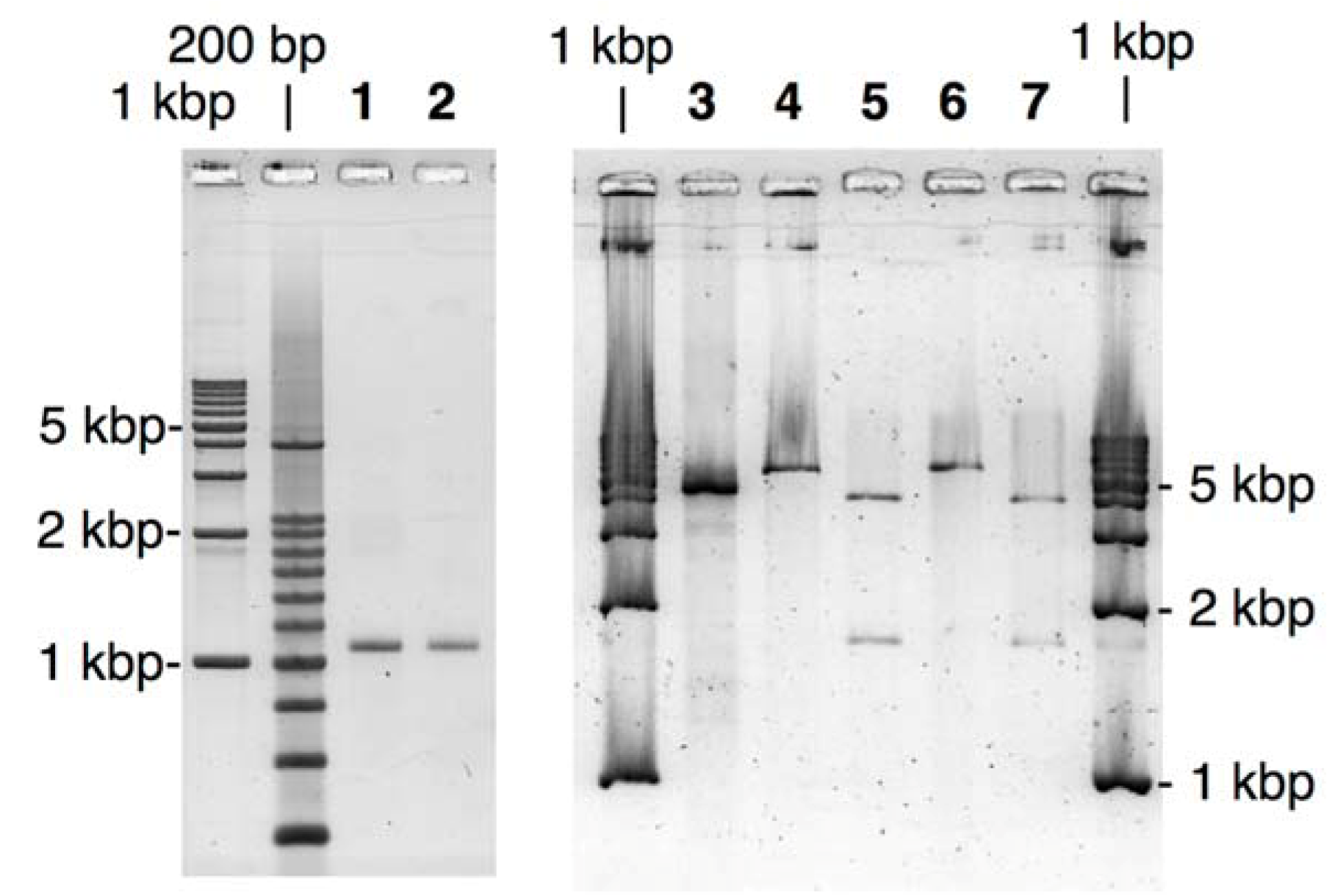 Molecules 17 00328 g002 550