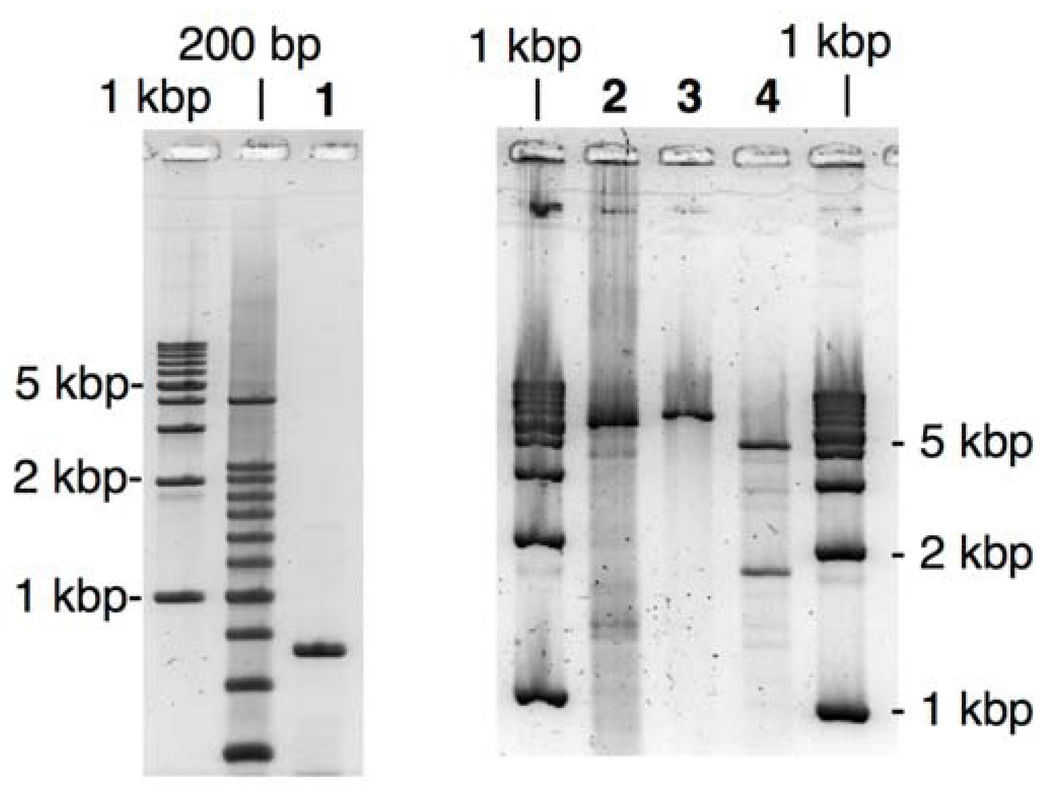 Molecules 17 00328 g004 550