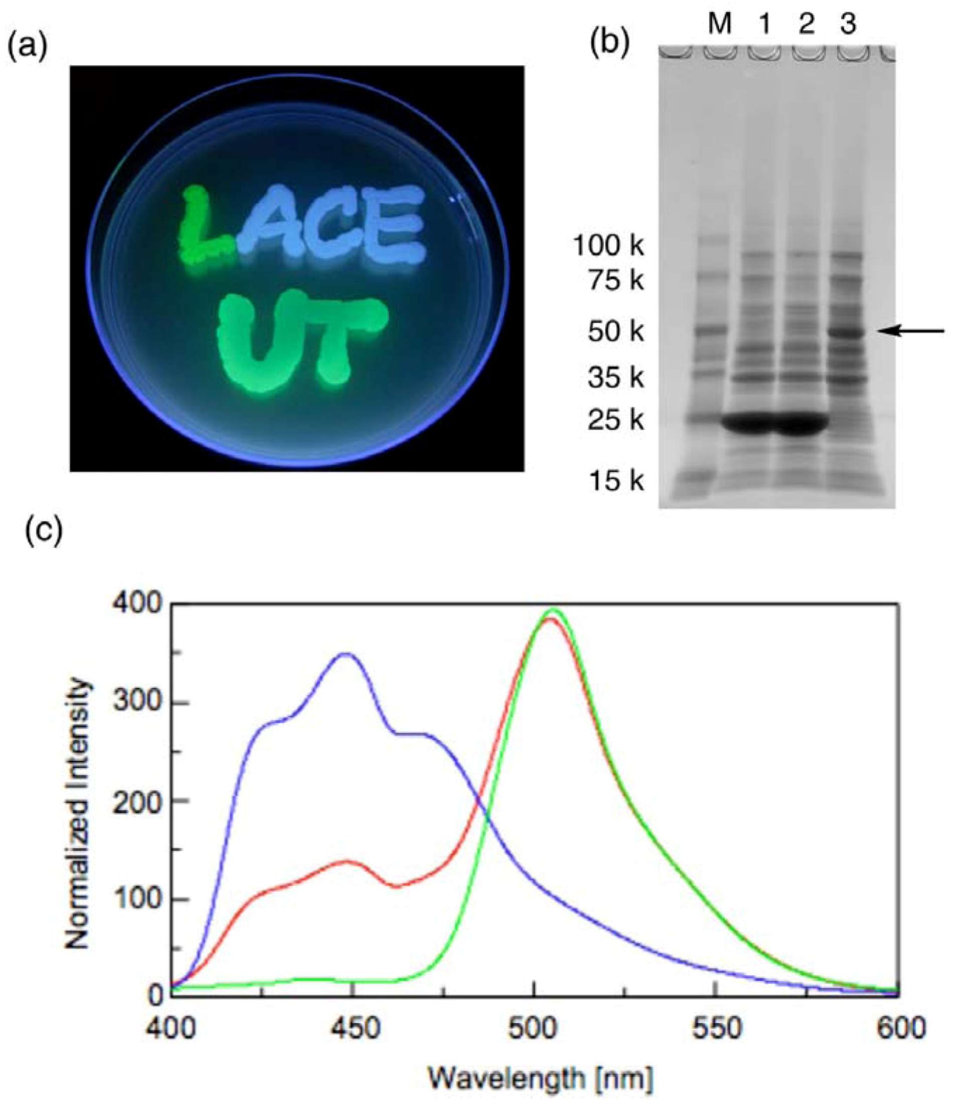 Molecules 17 00328 g005 550
