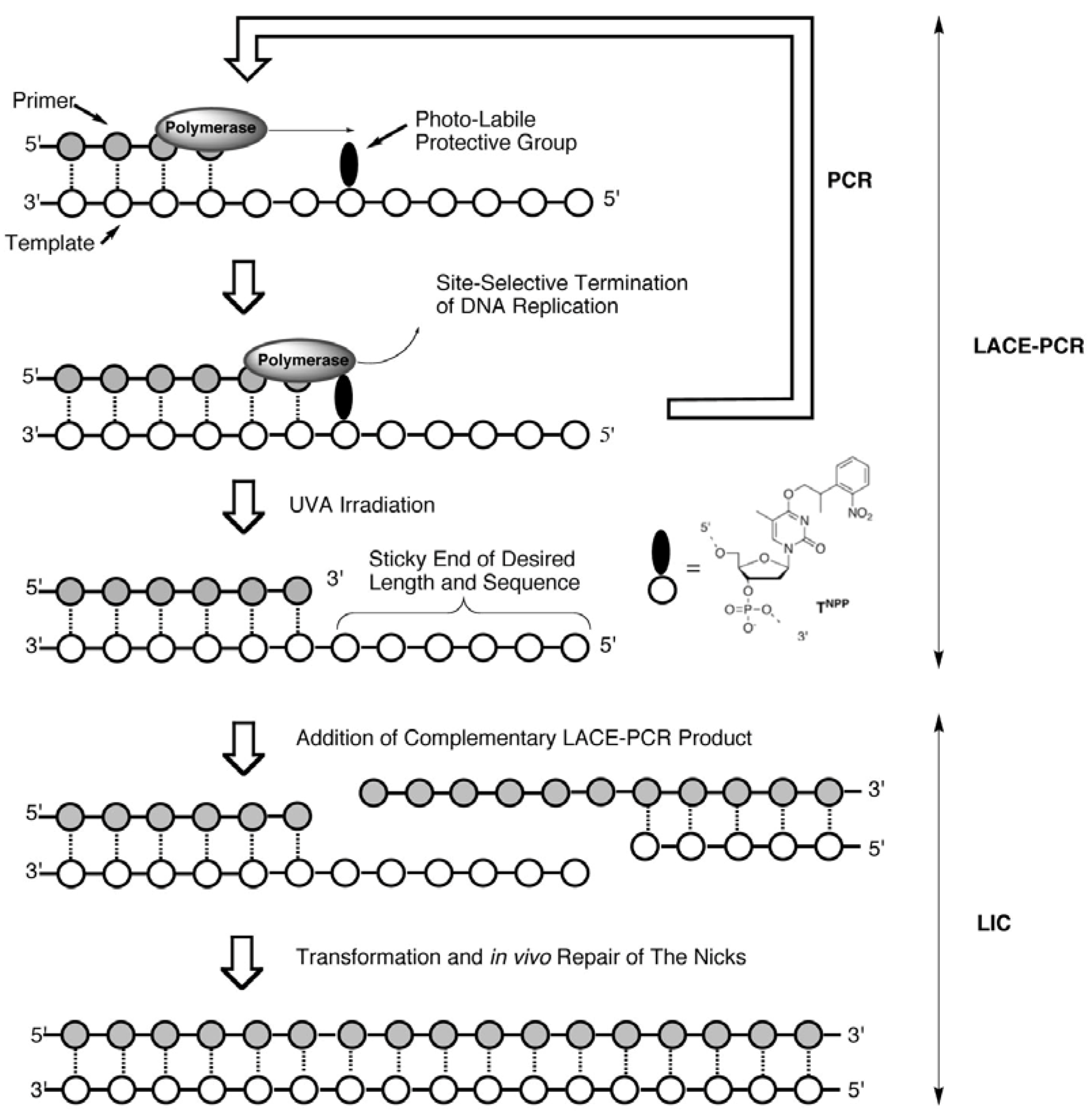 Molecules 17 00328 g006 550