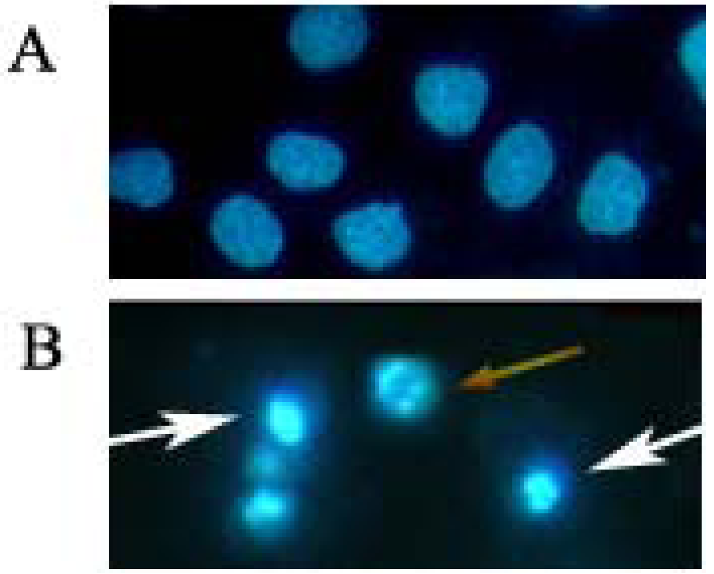 Molecules 17 00598 g003 550
