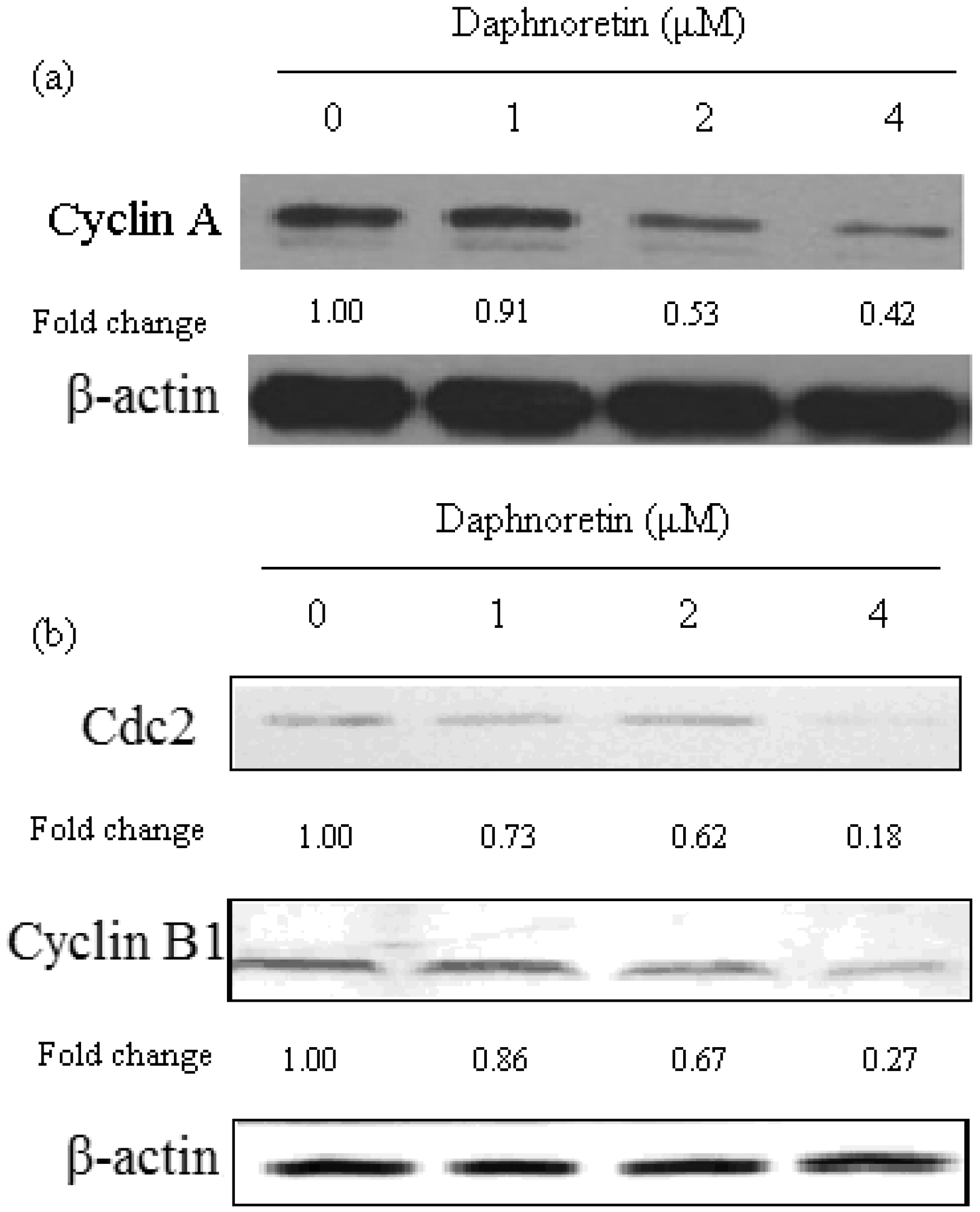 Molecules 17 00598 g006 550