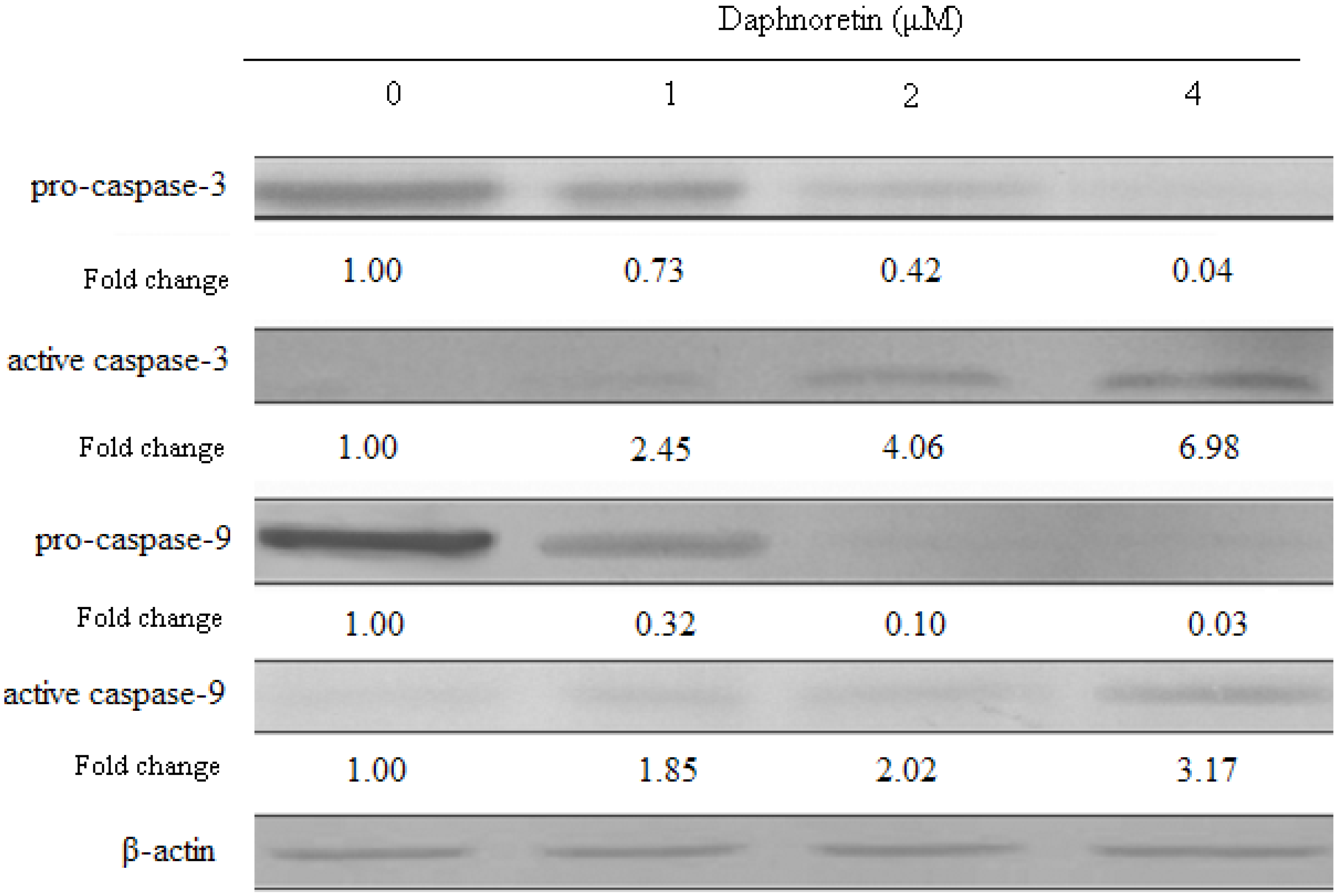 Molecules 17 00598 g008 550