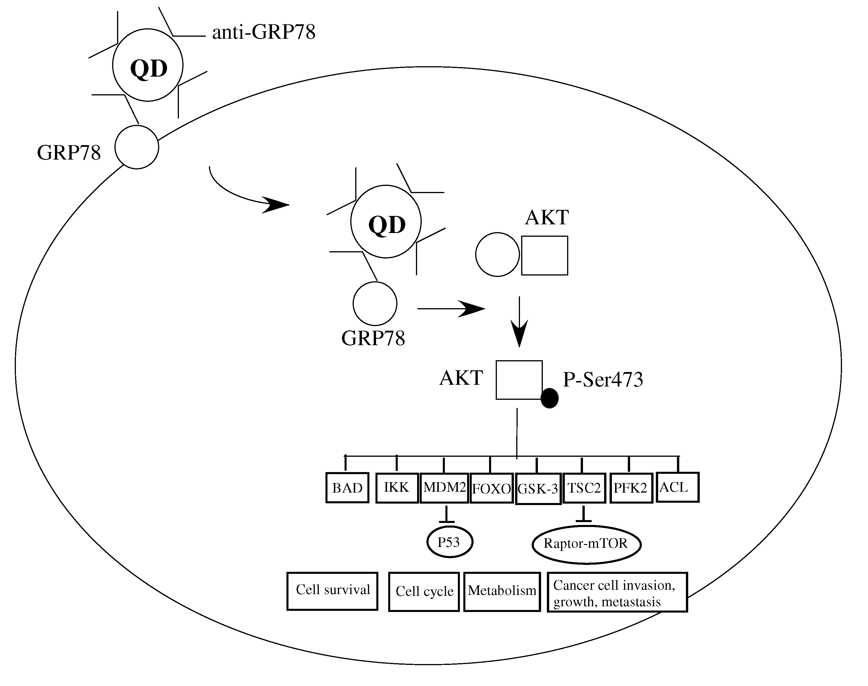 Molecules 17 00796 g005 550