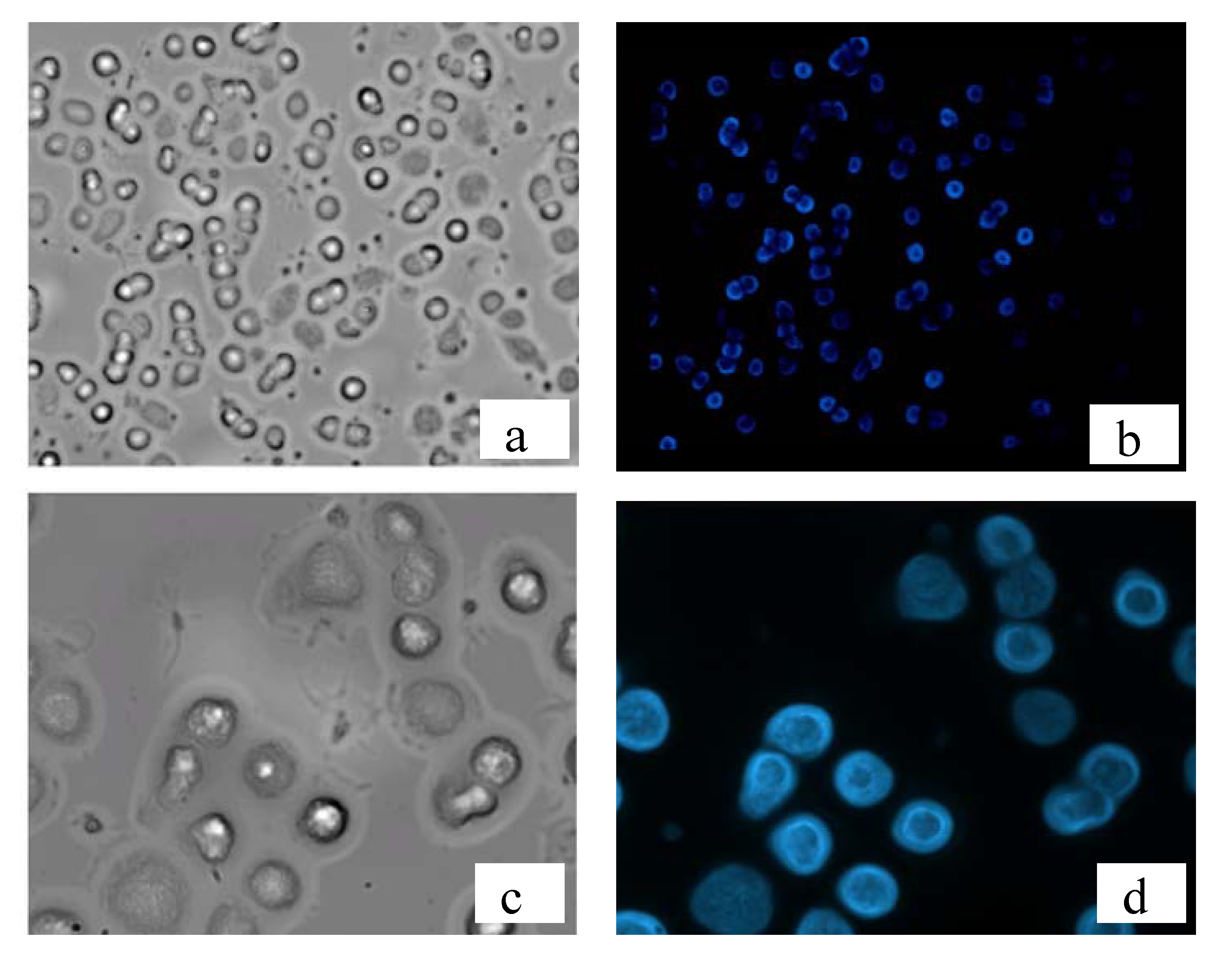Molecules 17 00910 g010 550