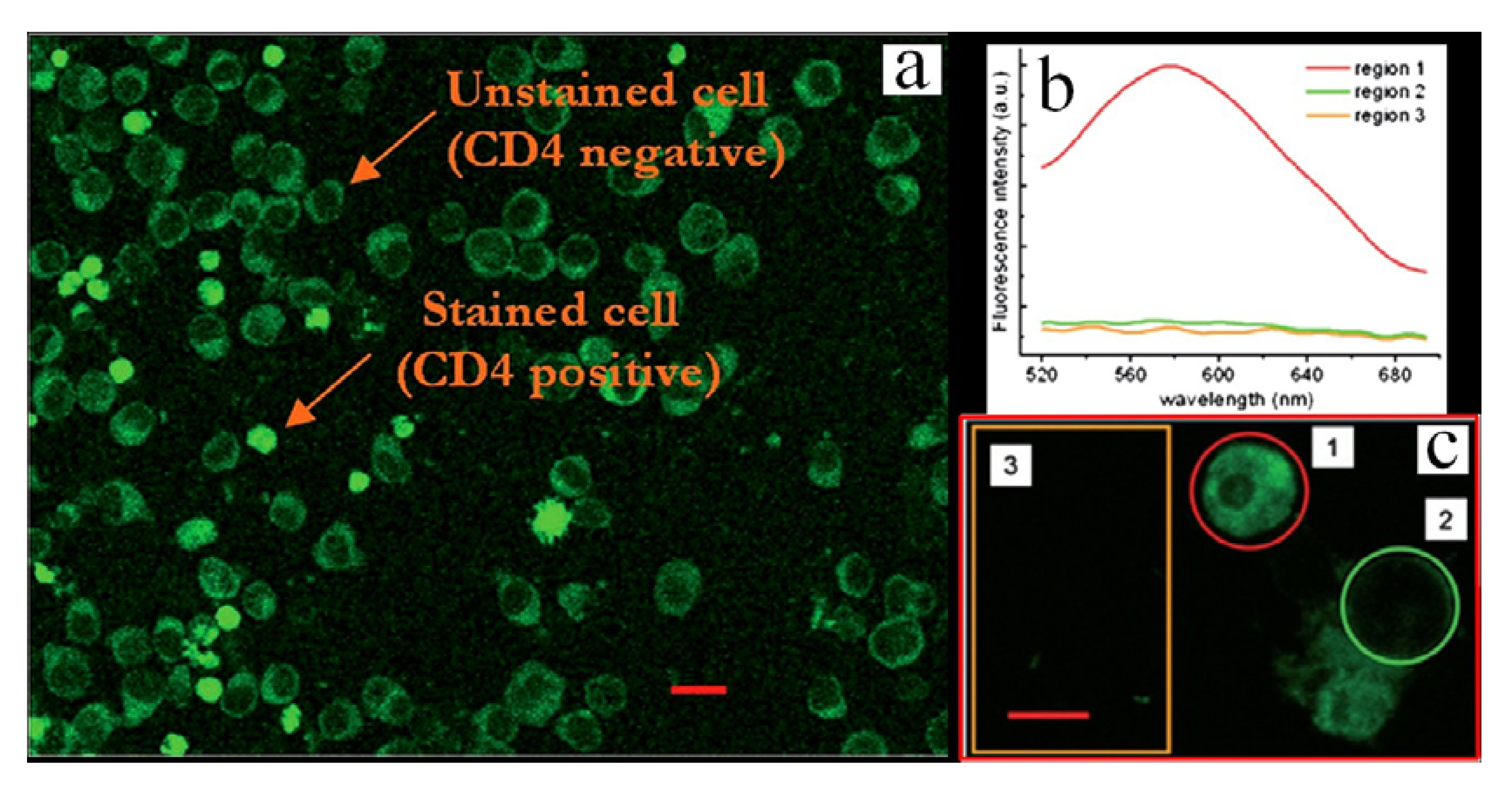 Molecules 17 00910 g015 550