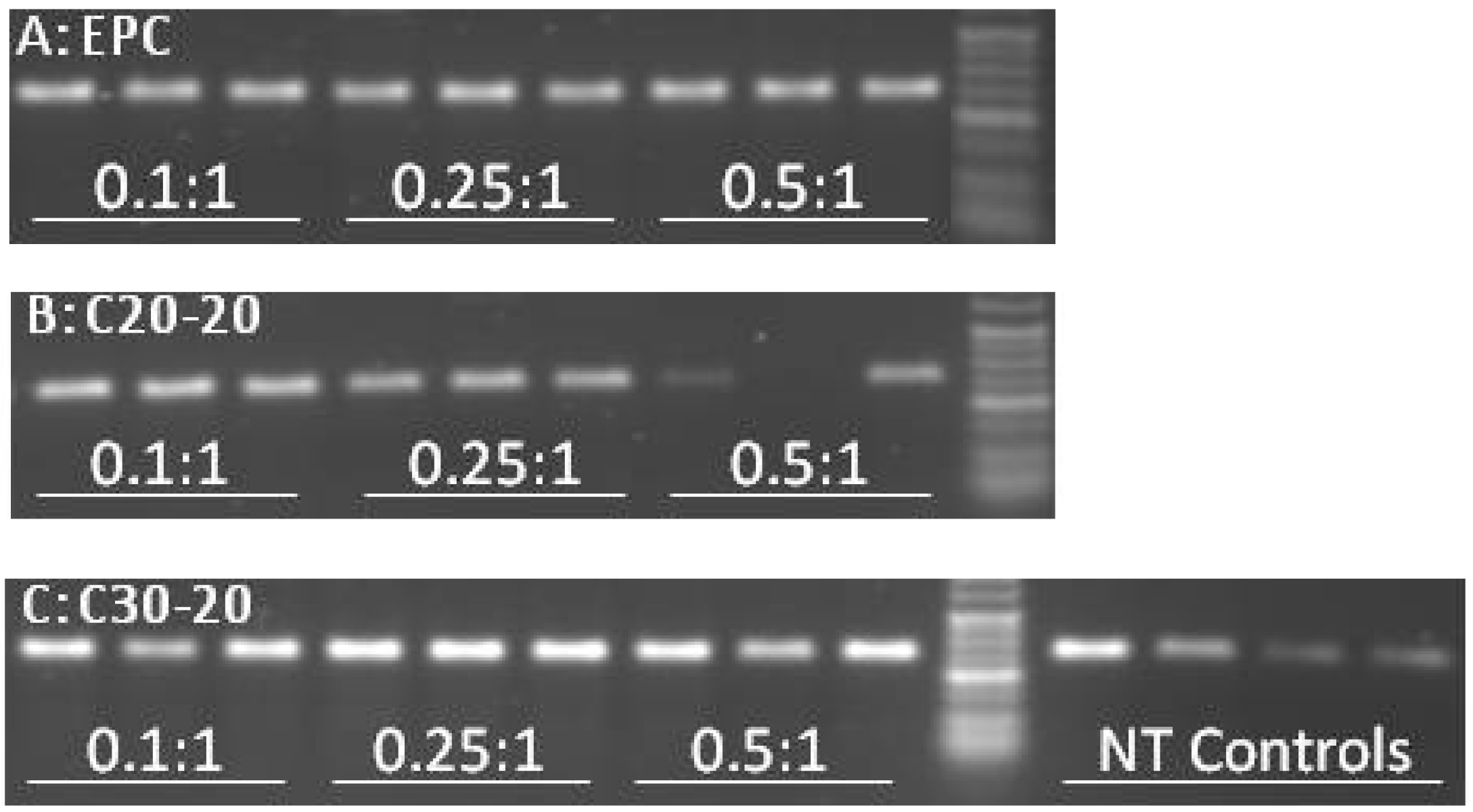 Molecules 17 01138 g005 550
