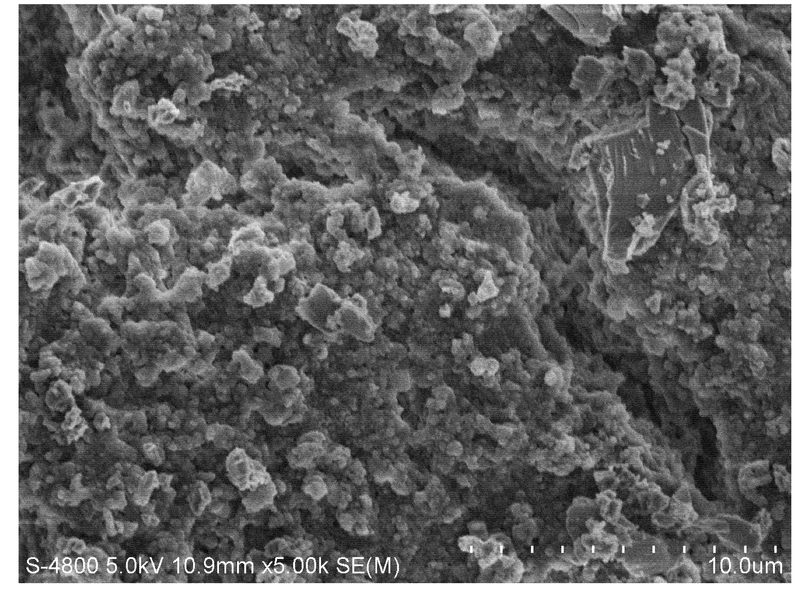 Molecules 17 01319 g008