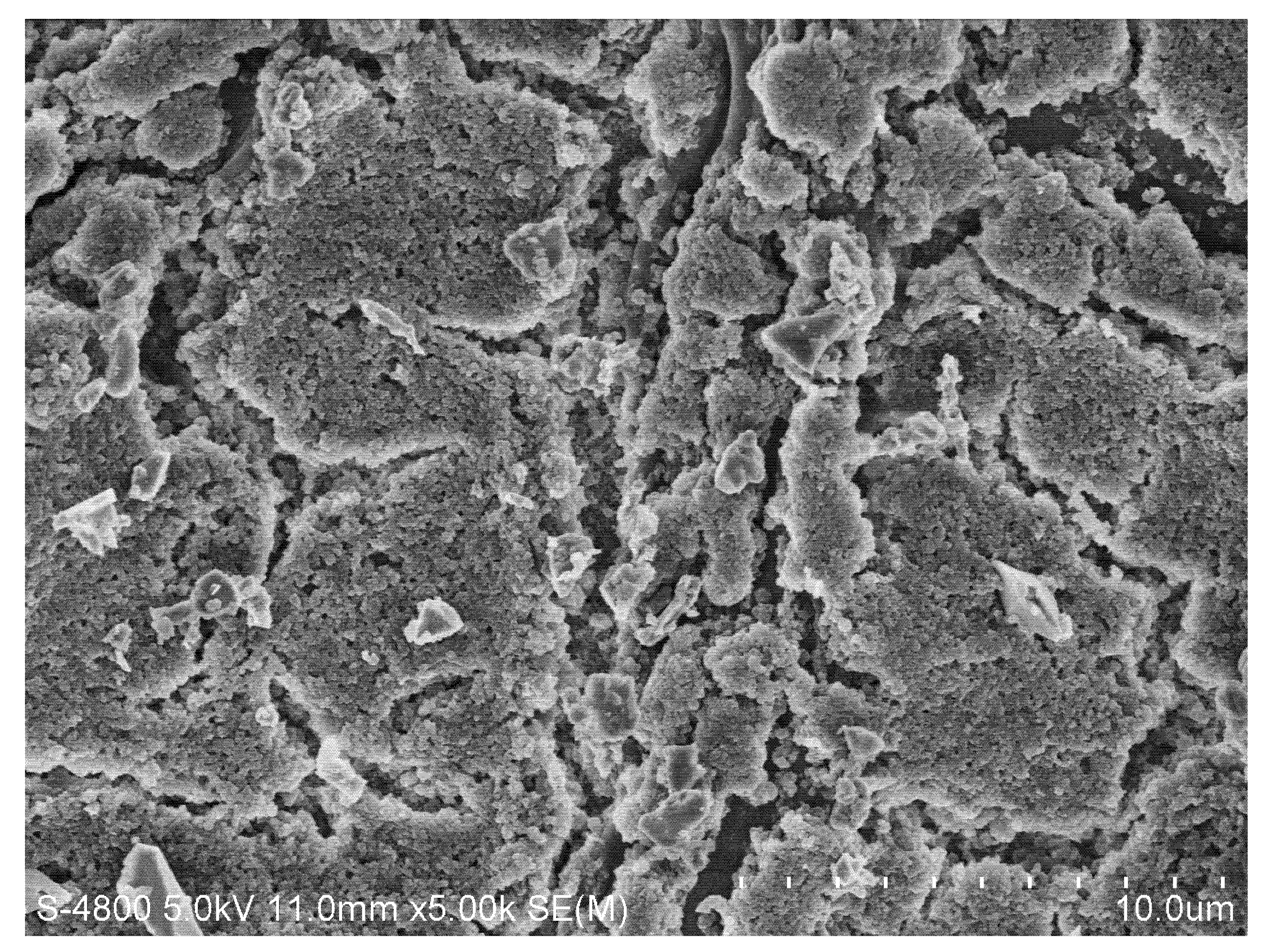 Molecules 17 01319 g009