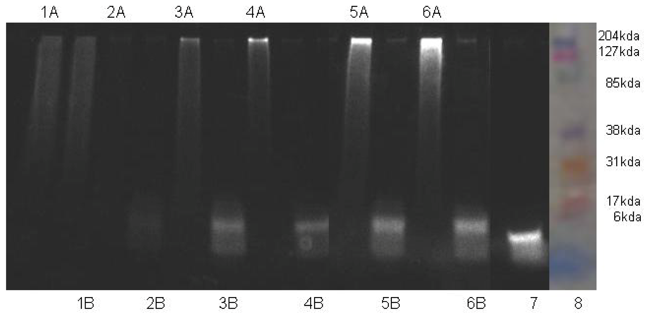 Molecules 17 01520 g001 550