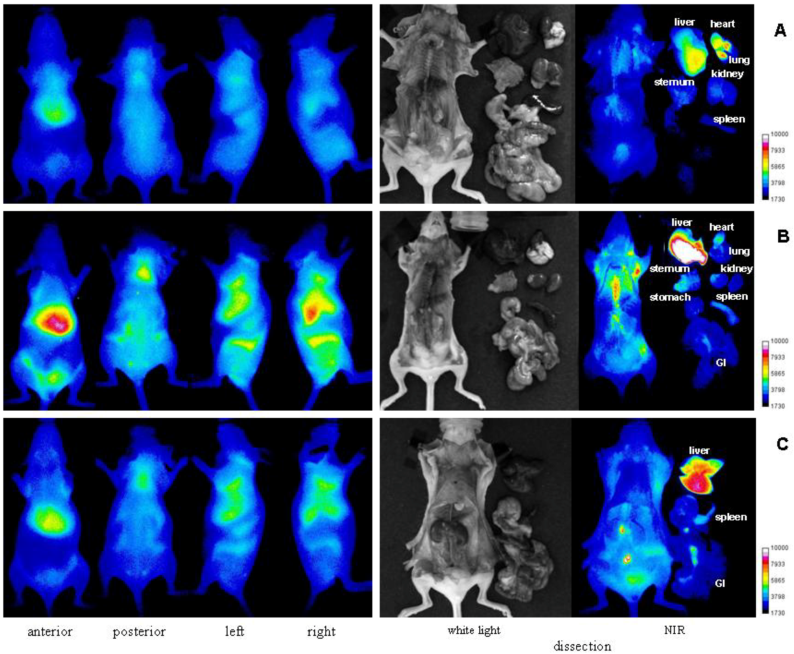 Molecules 17 01520 g007 550