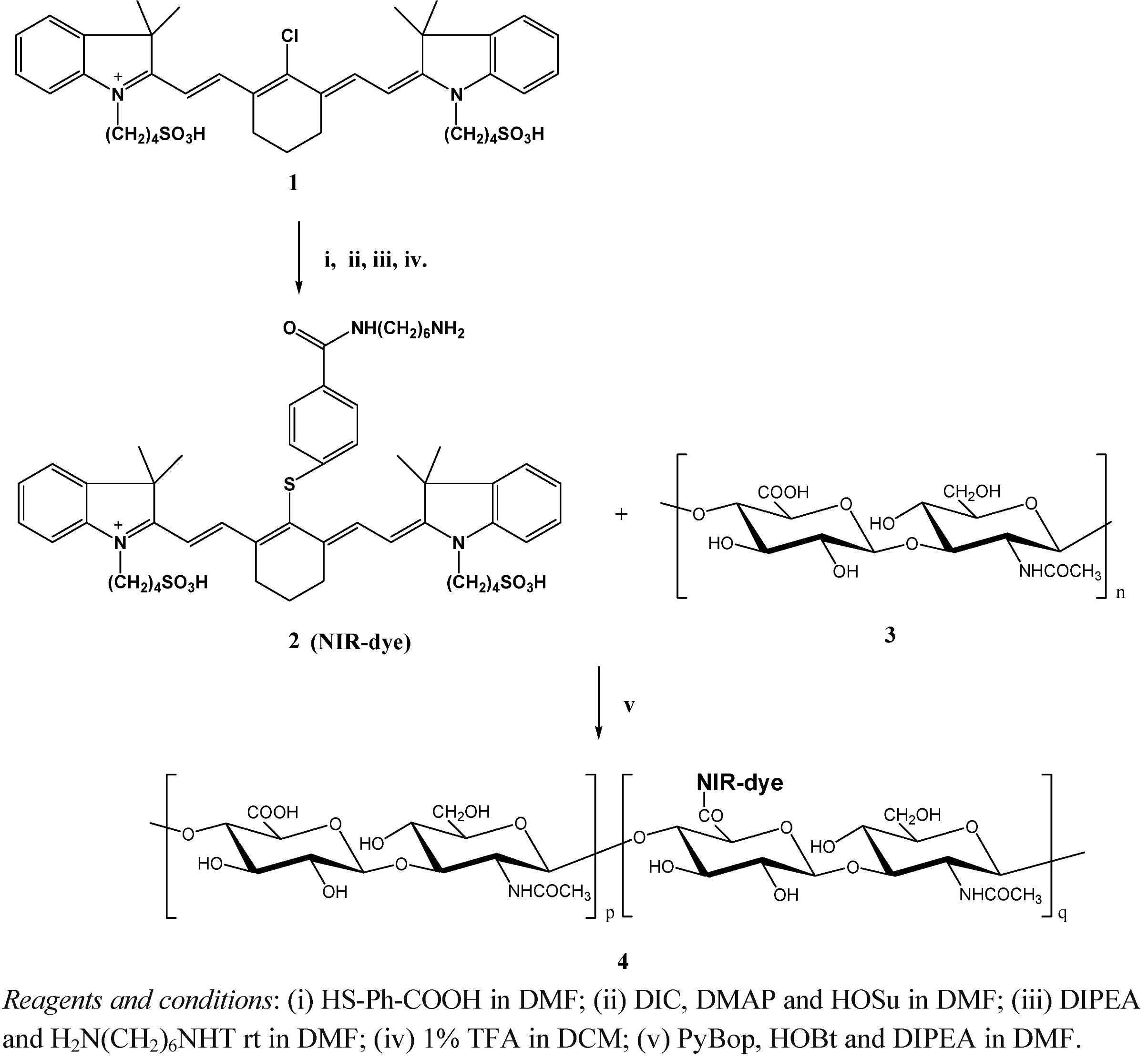Molecules 17 01520 g008 550