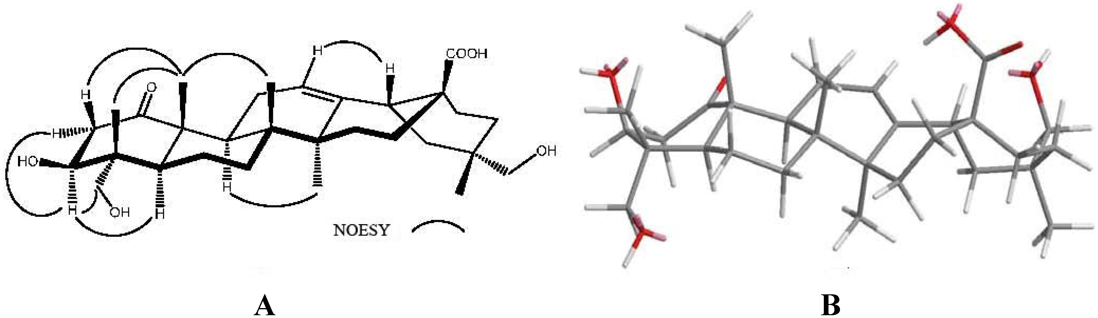 Molecules 17 01837 g003 550