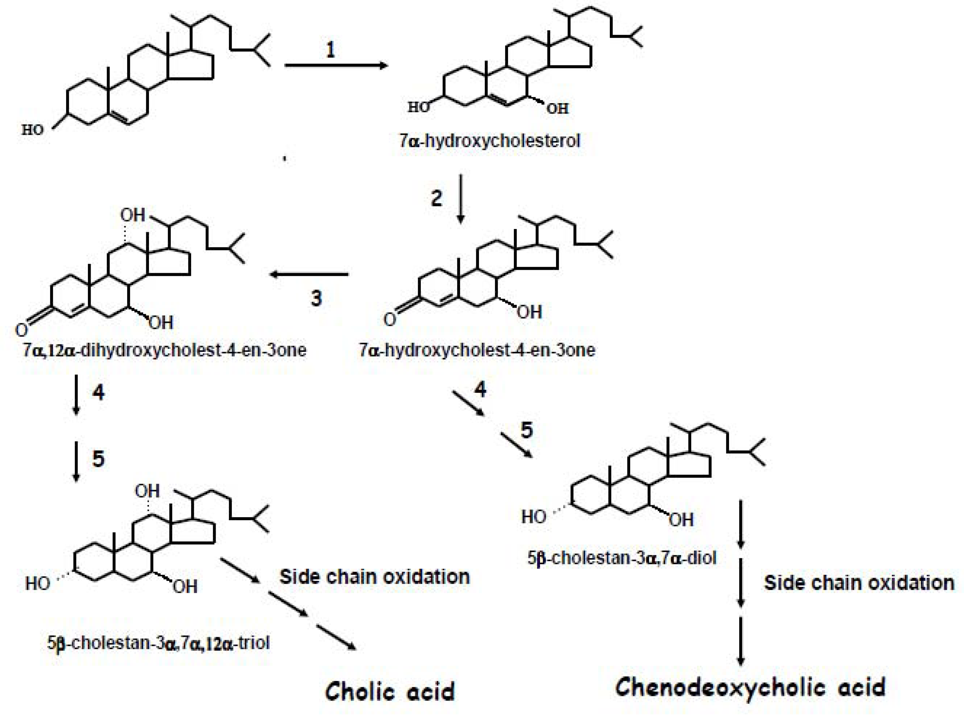 Molecules Free Full Text The Use Of Stable And Radioactive