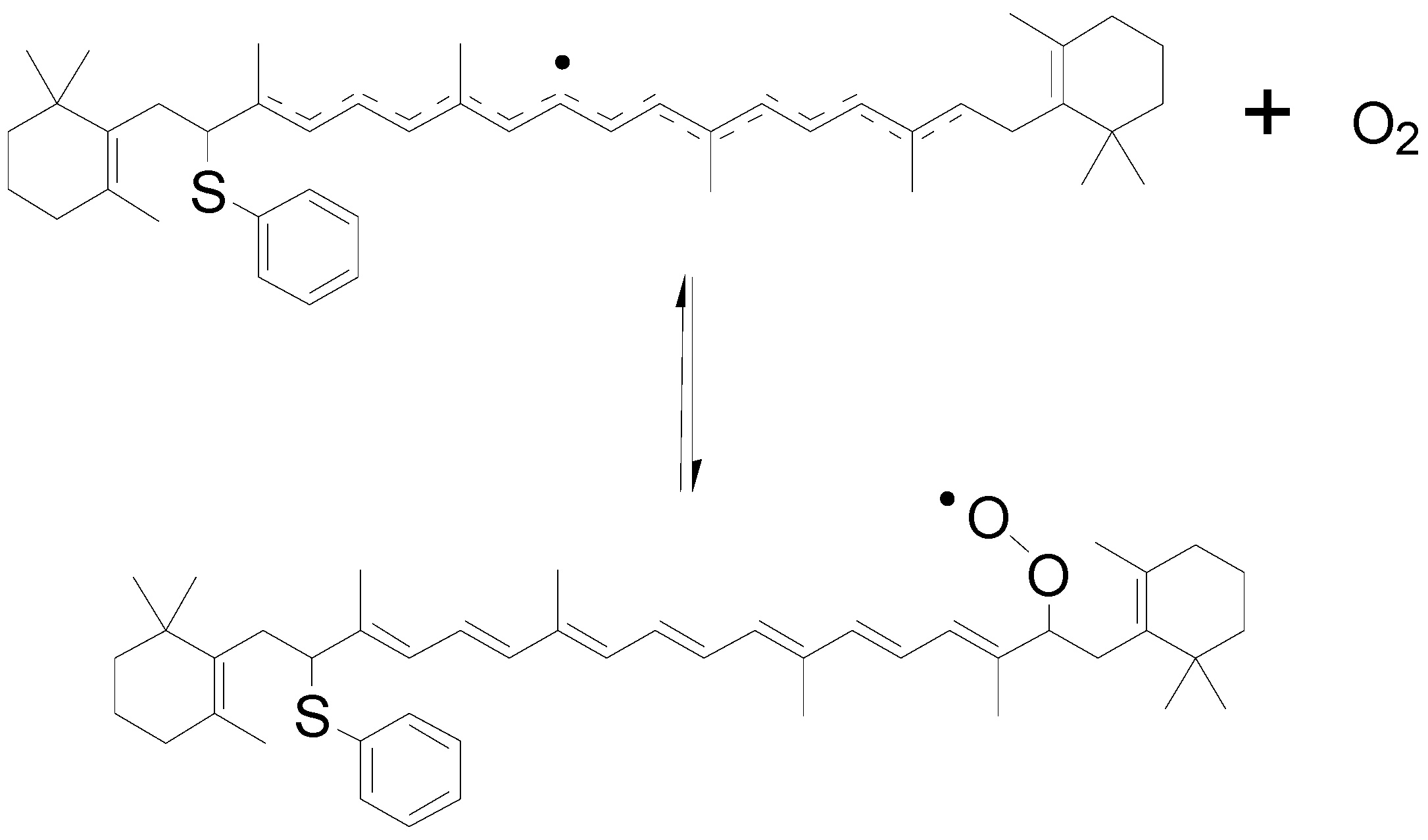 Molecules Free FullText Reaction Dynamics of Flavonoids and