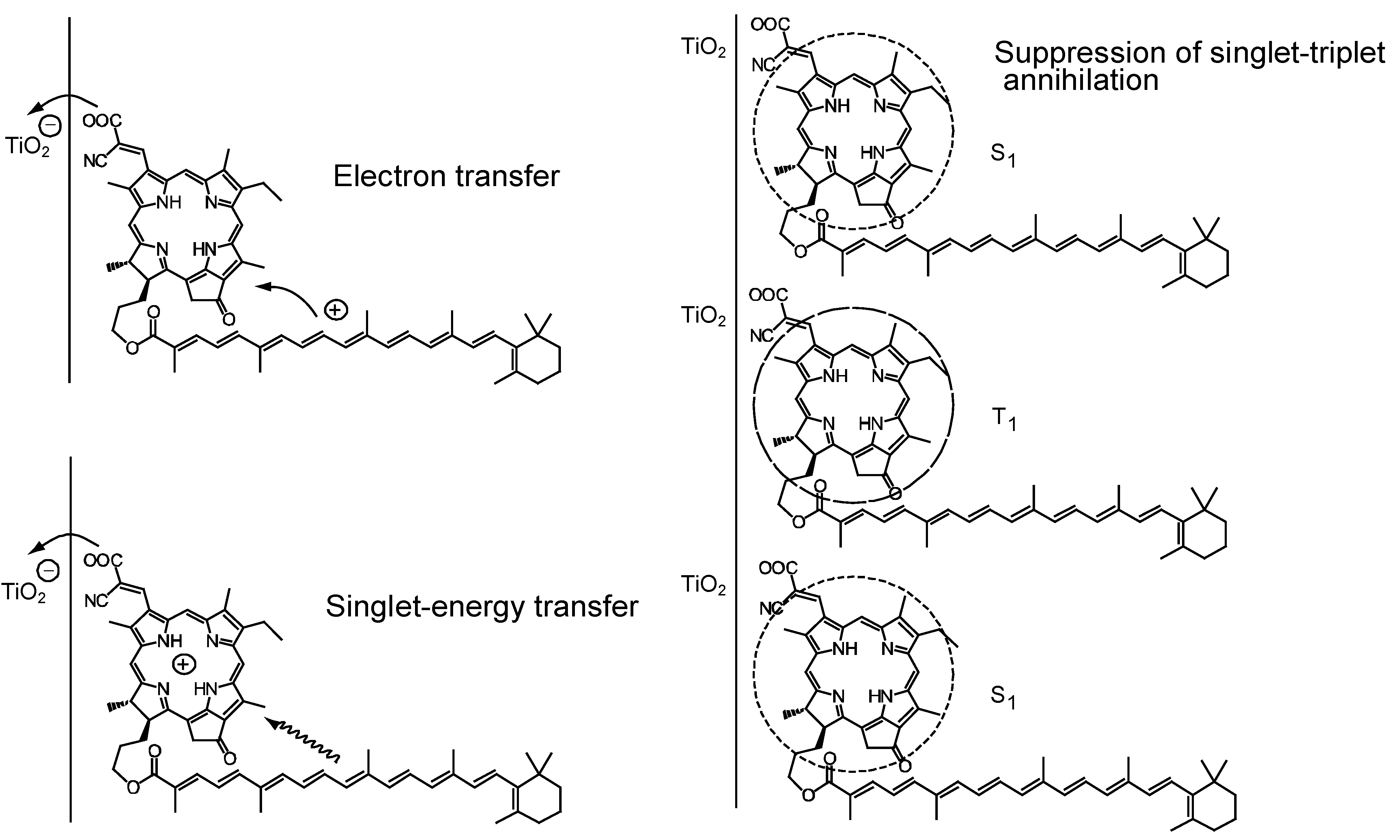 Molecules 17 02188 g019 550