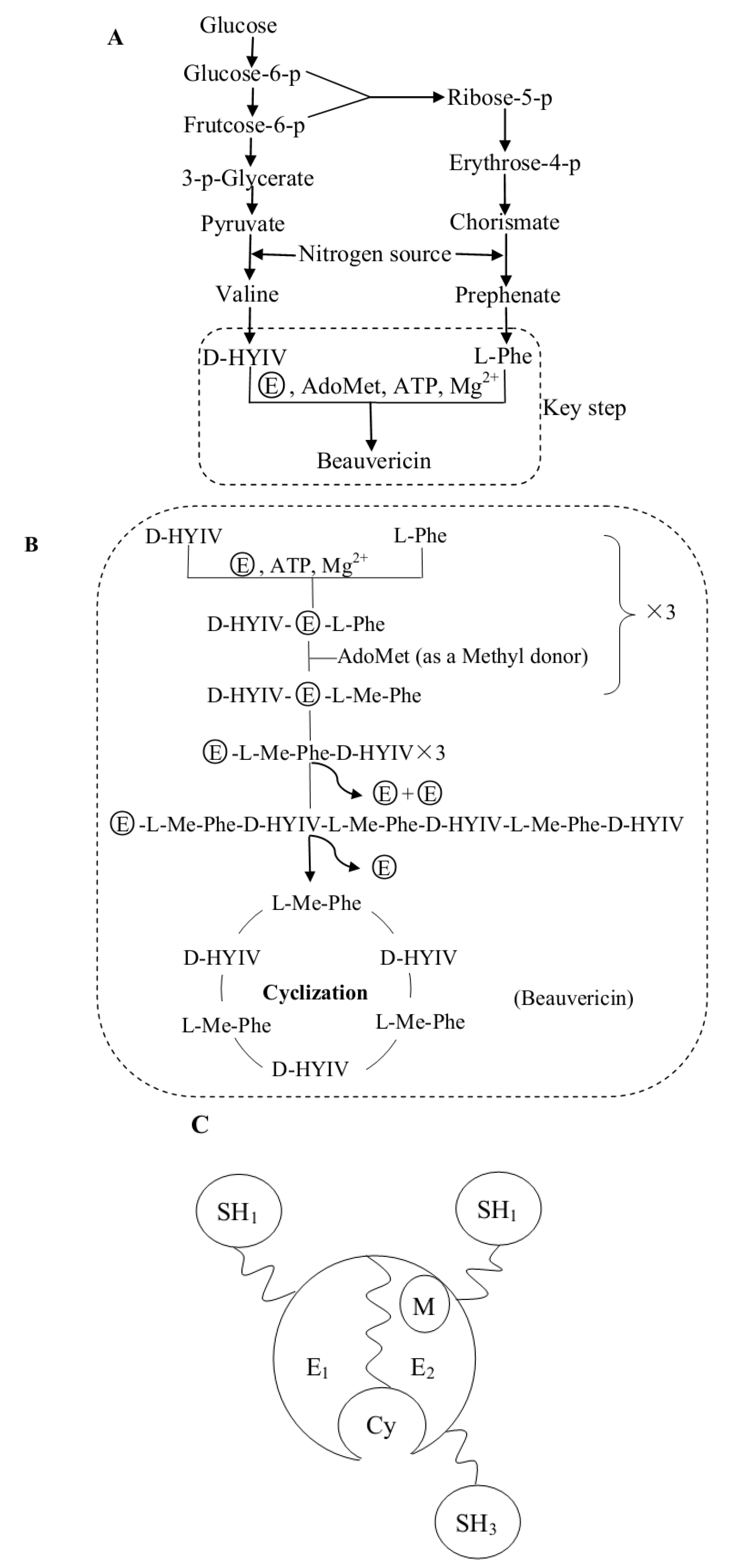 Molecules 17 02367 g003 550