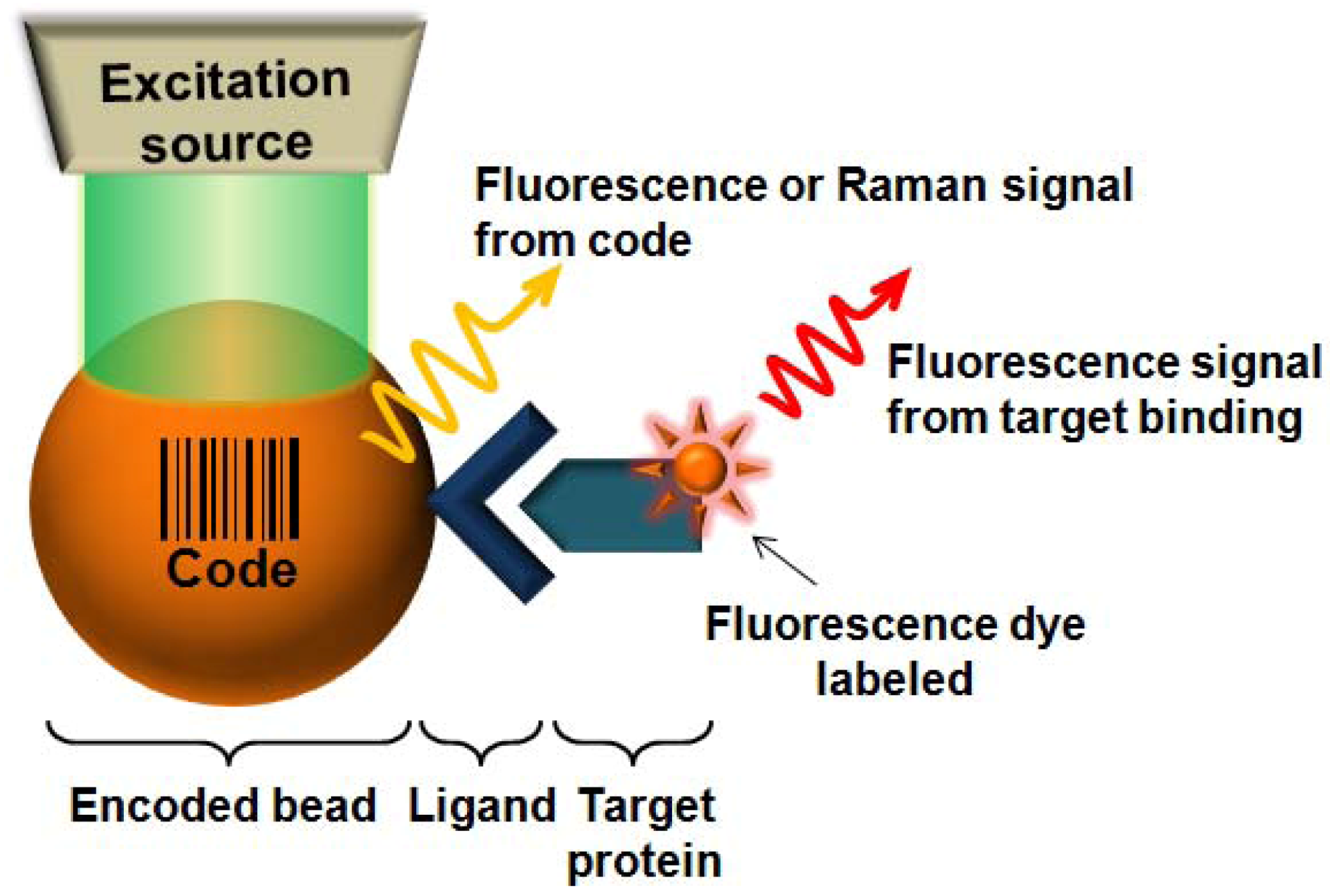 Molecules Free FullText FluorescenceBased Multiplex Protein