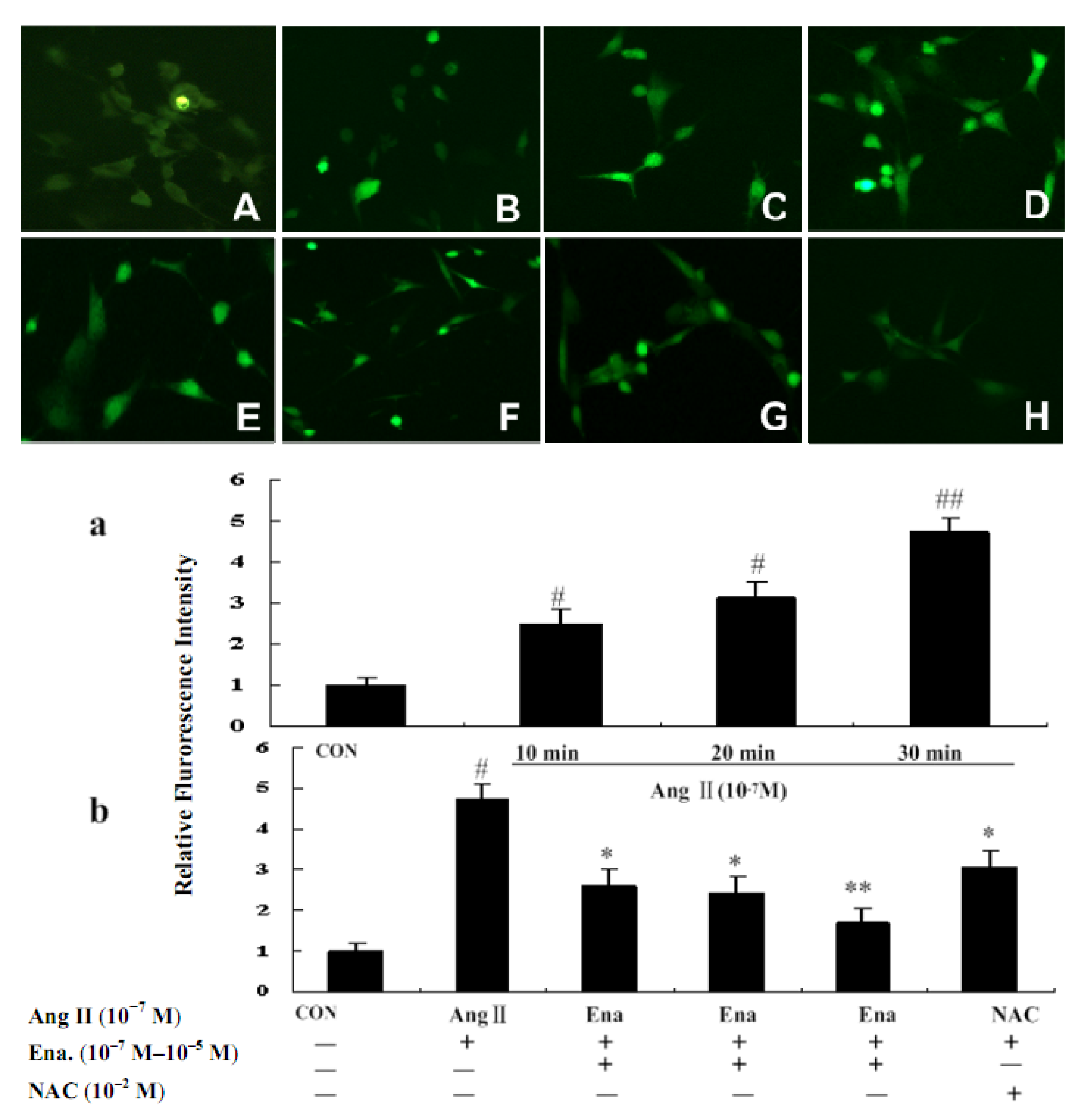 Molecules 17 02738 g002
