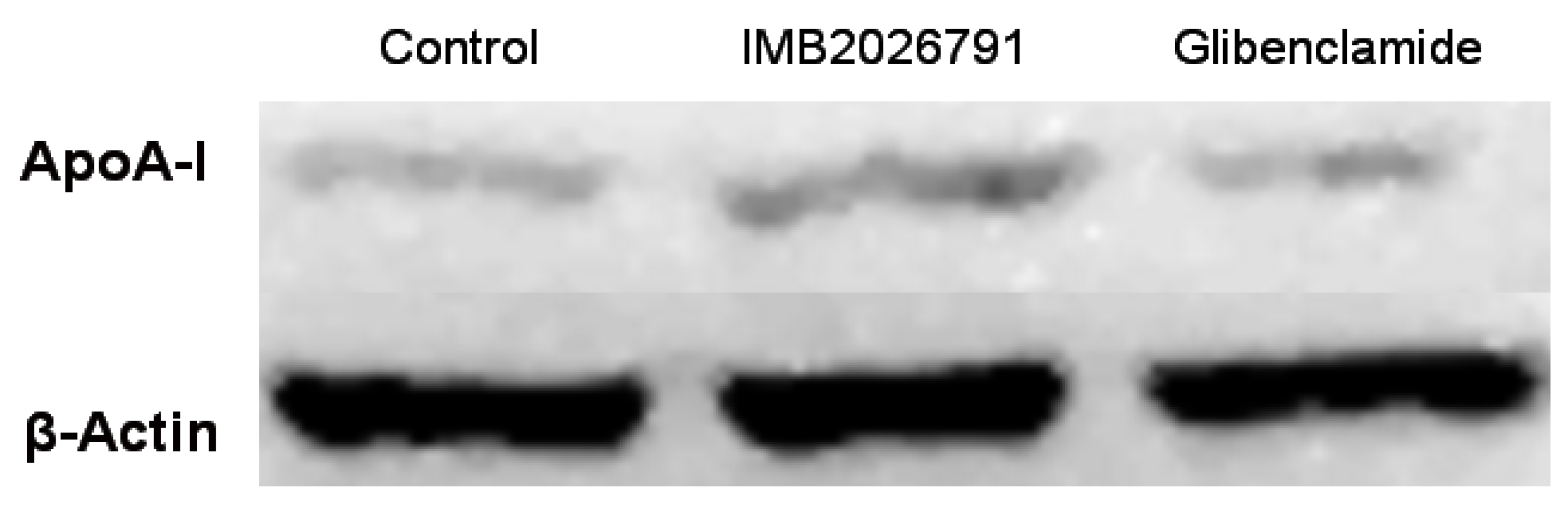 Molecules 17 02833 g006
