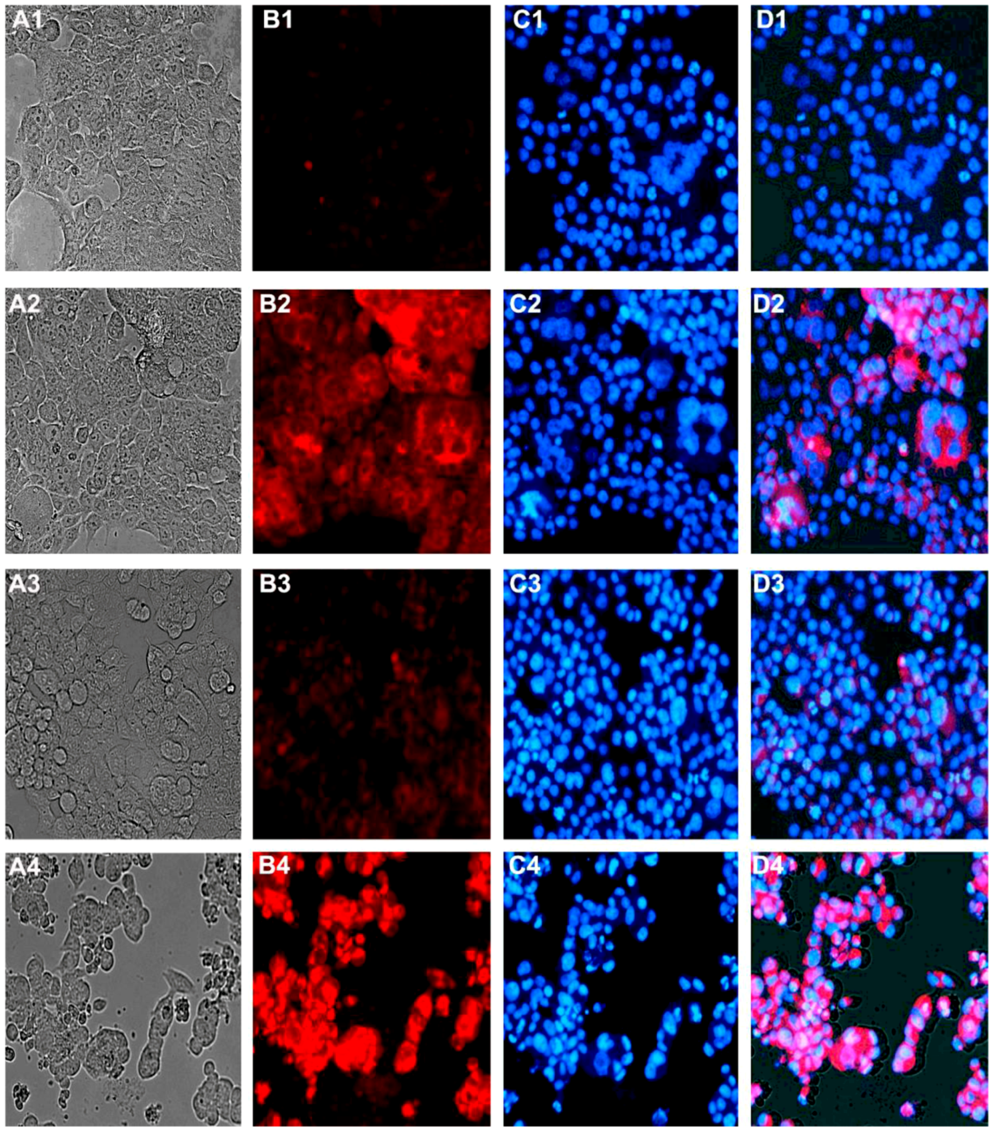 Molecules 17 02939 g006