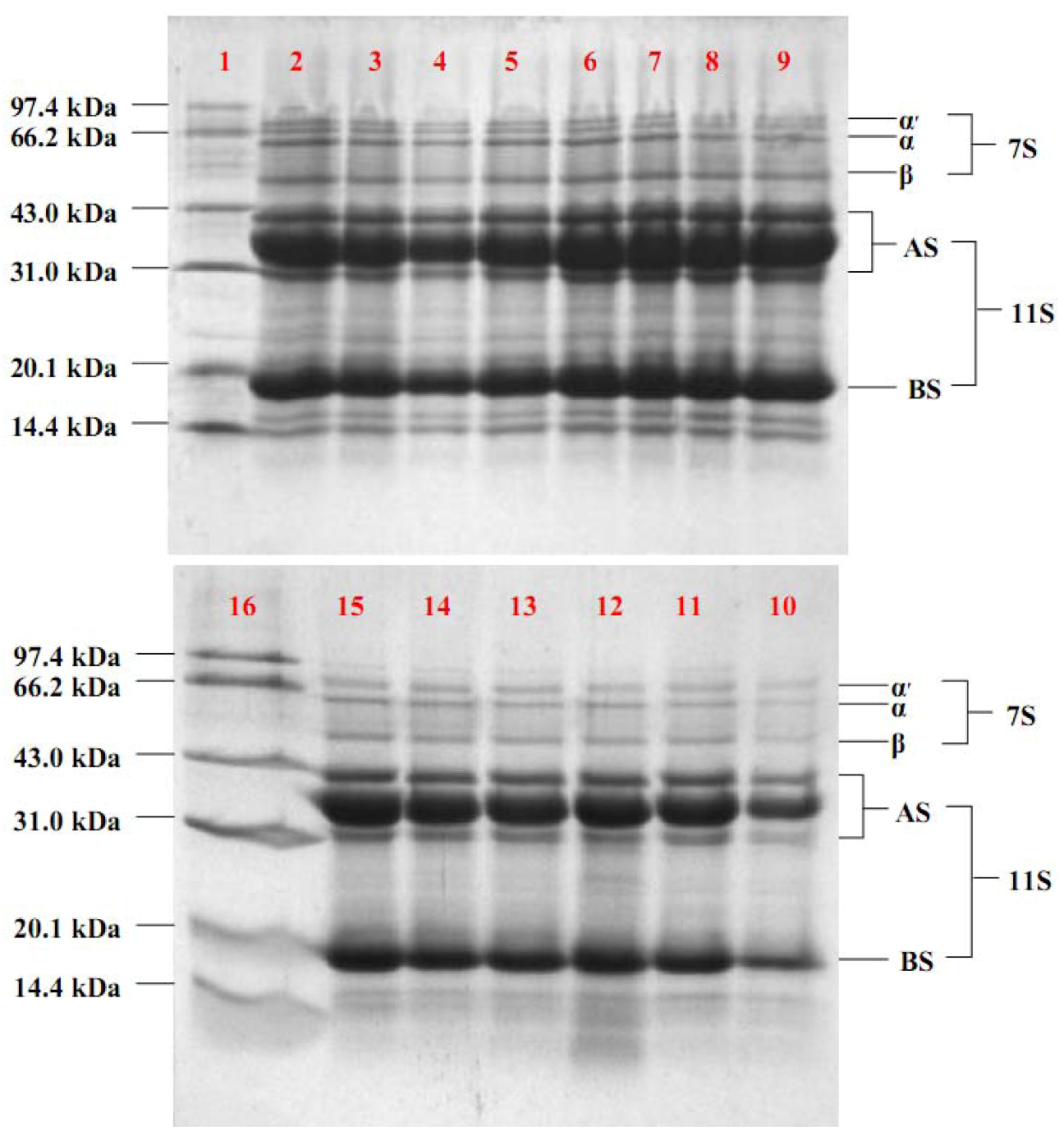 Molecules 17 02968 g004 550