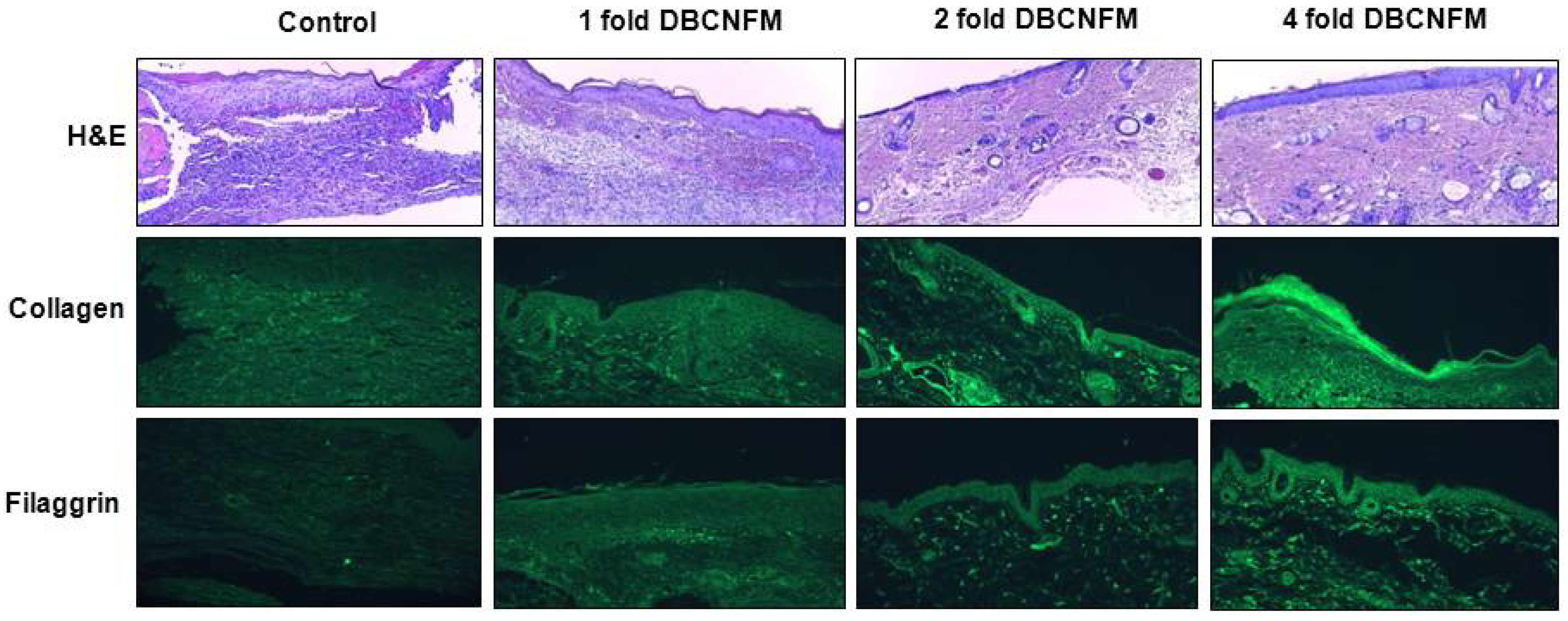 Molecules 17 02992 g006