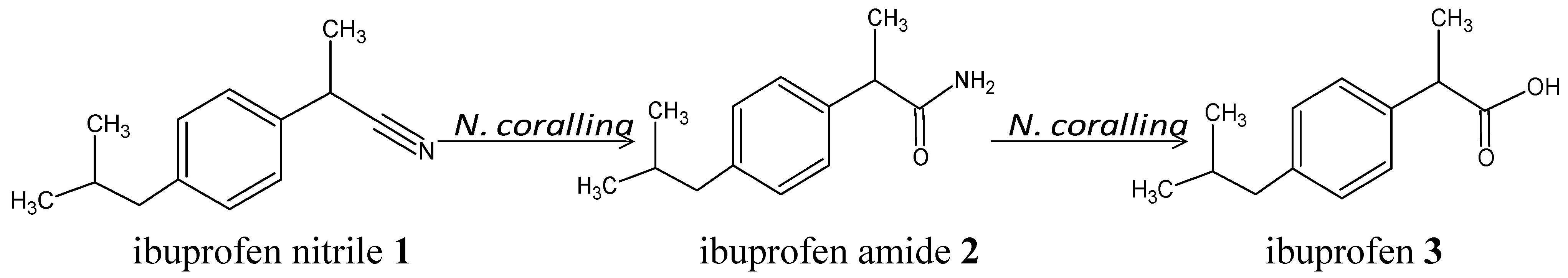 Hydrolysis of Ibuprofen Nitrile and Ibuprofen Amide and Deracemisation of I...