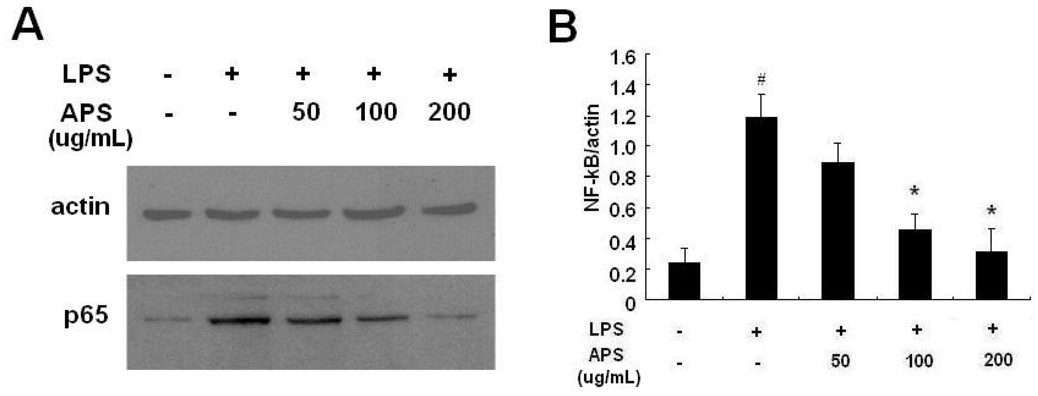 Molecules 17 03155 g004