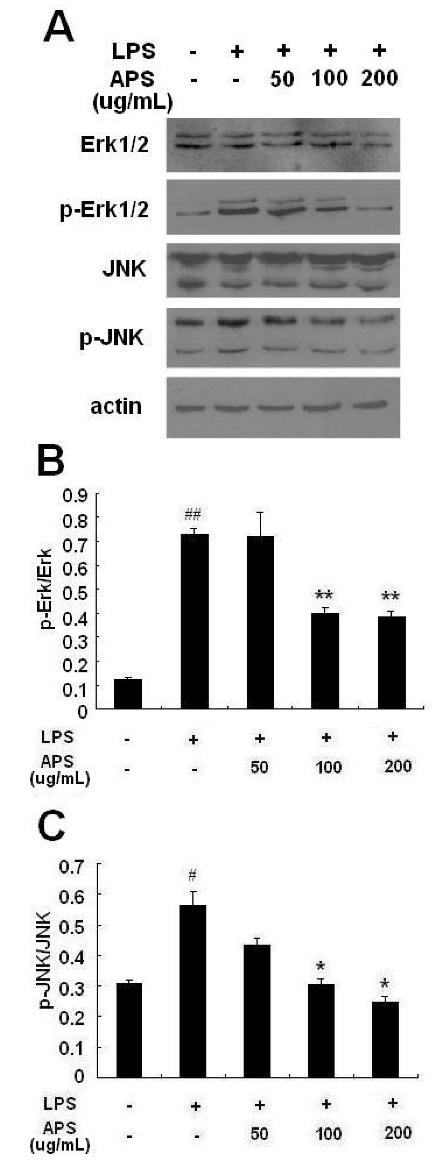 Molecules 17 03155 g005