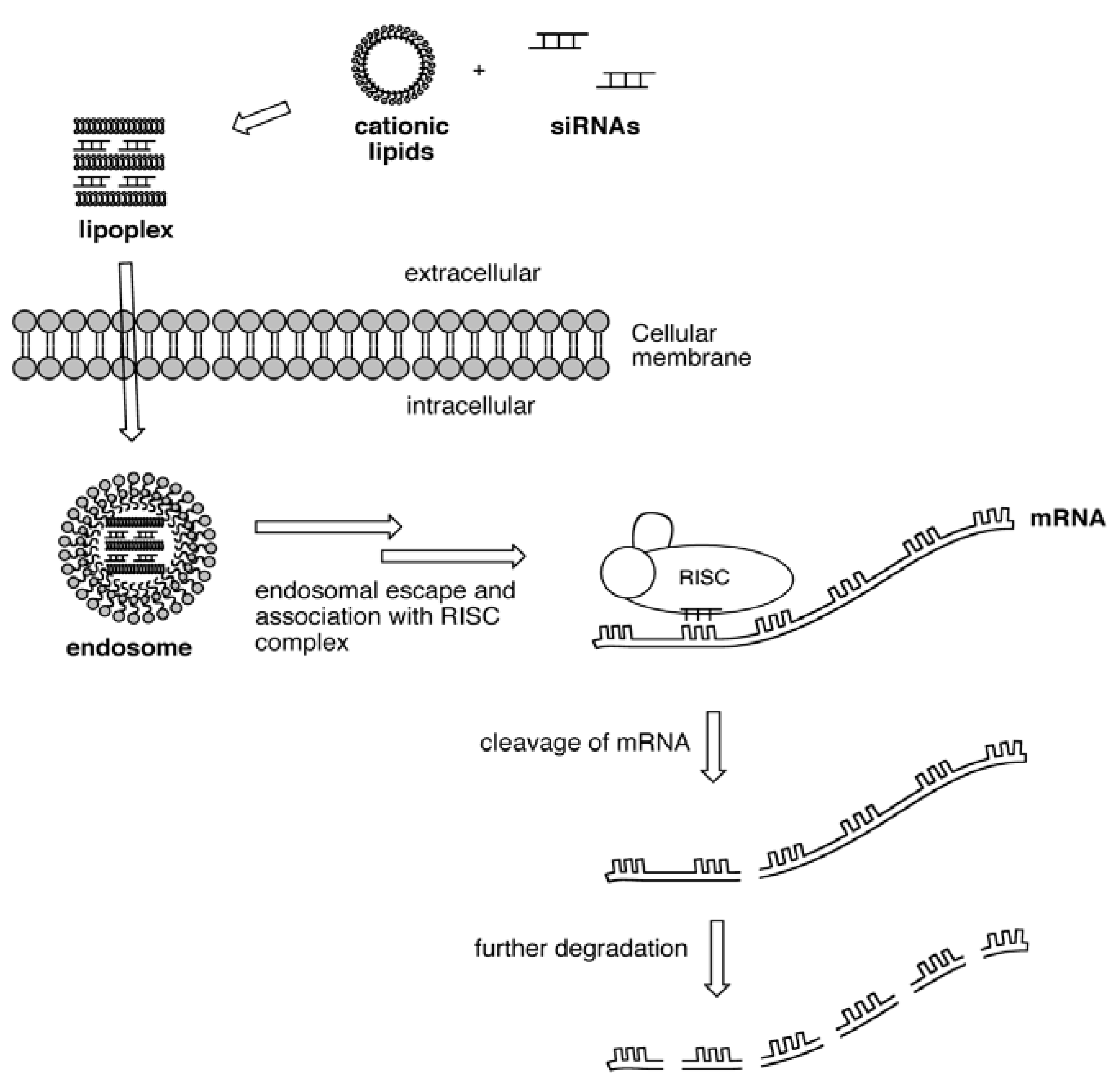 Molecules 17 03484 g001