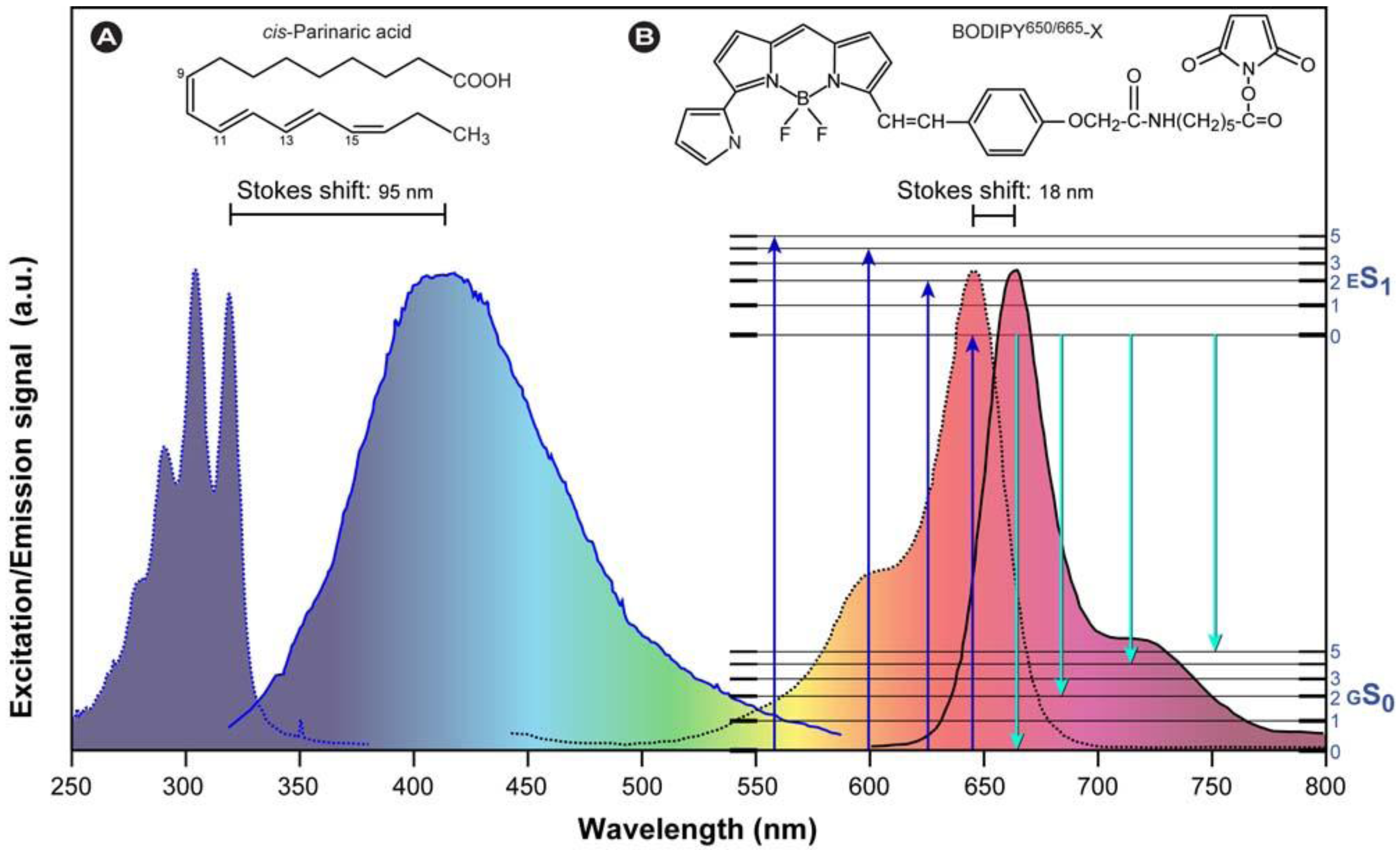 Molecules 17 04047 g003