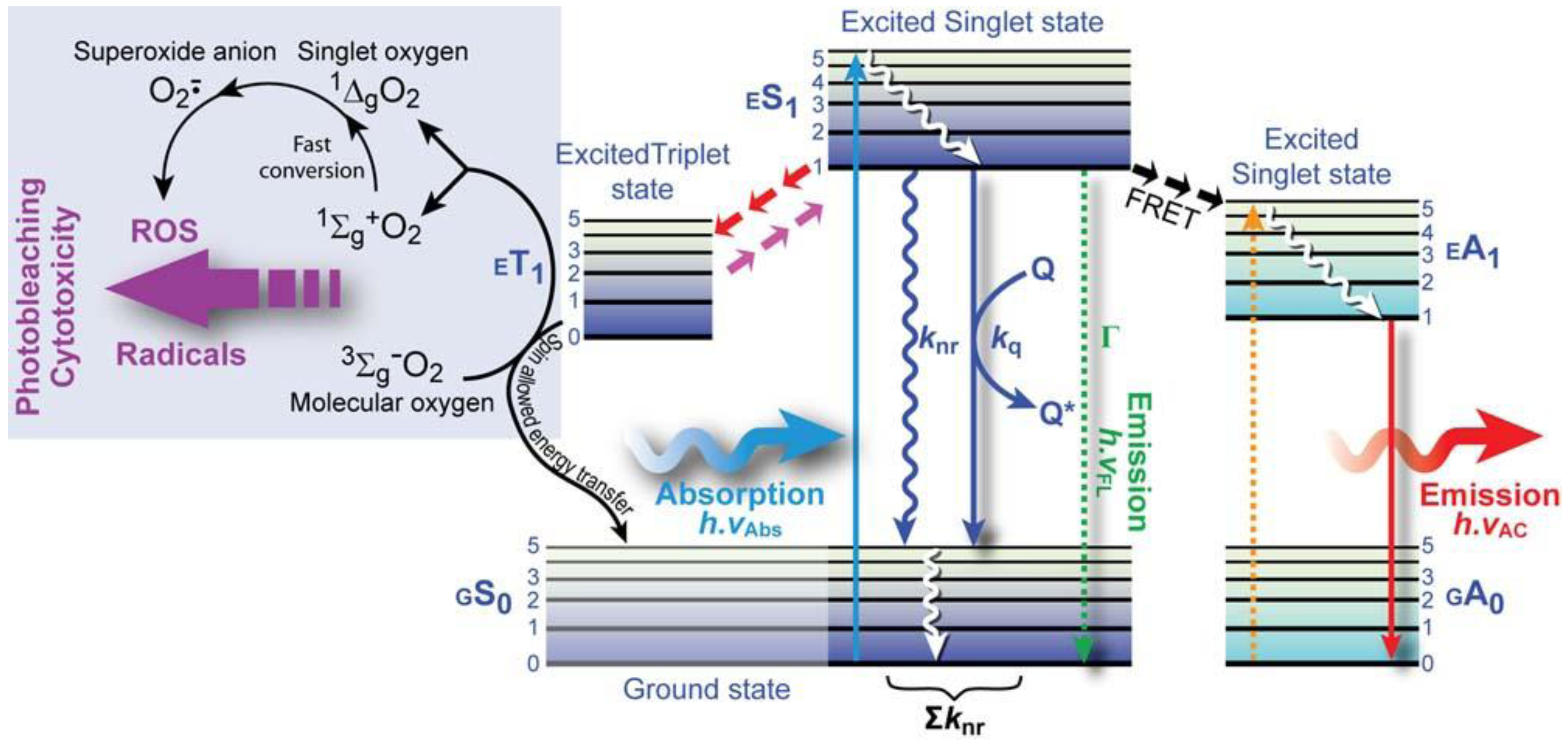 Molecules | Free Full-Text | Advanced Fluorescence Microscopy 