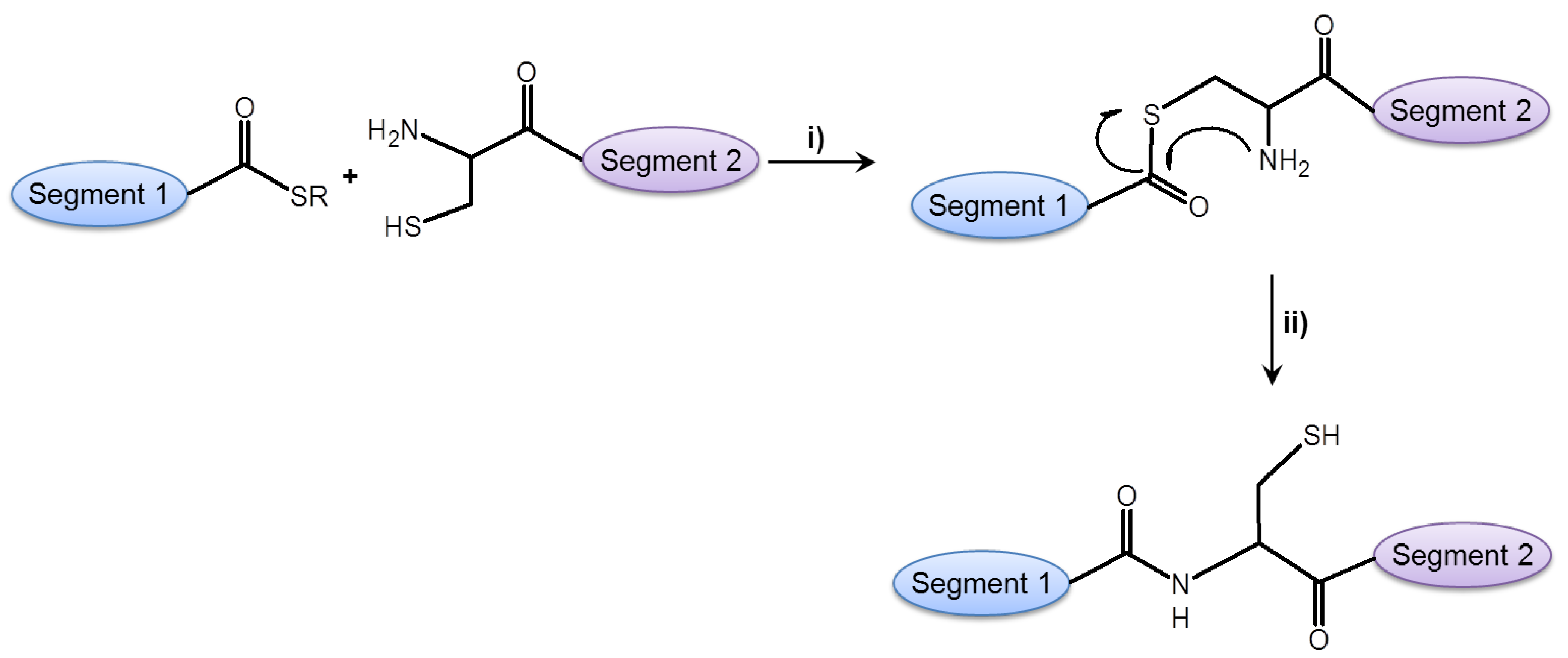 Molecules 17 04158 g007