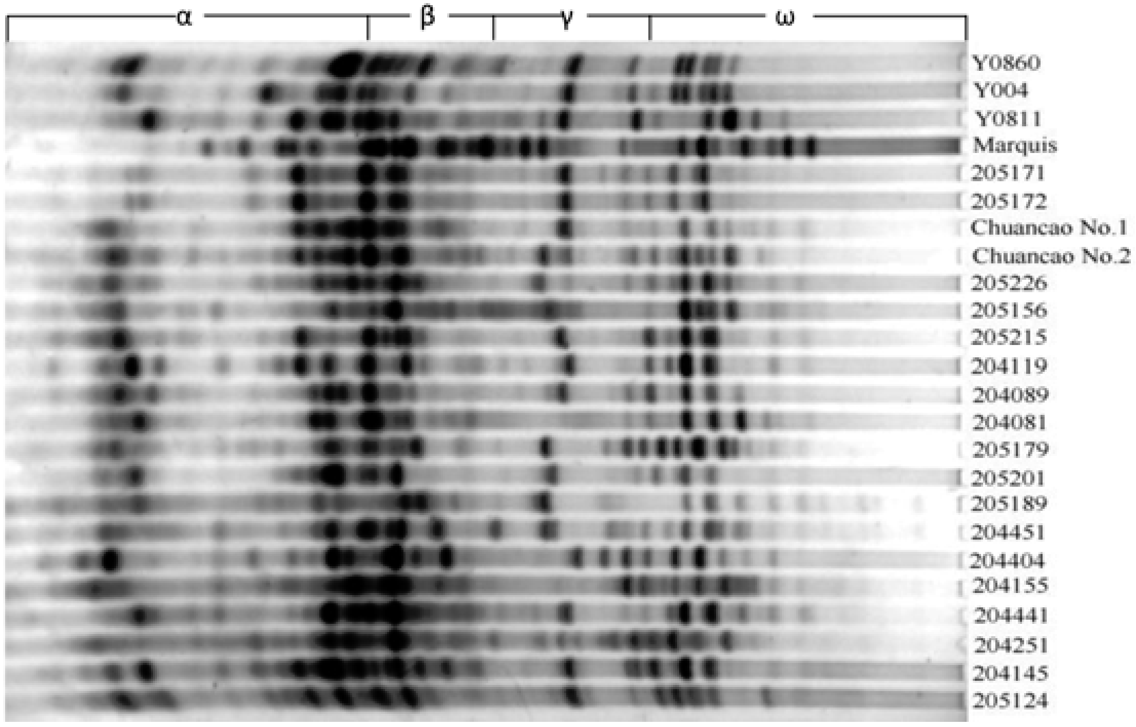 Molecules 17 04424 g001 550