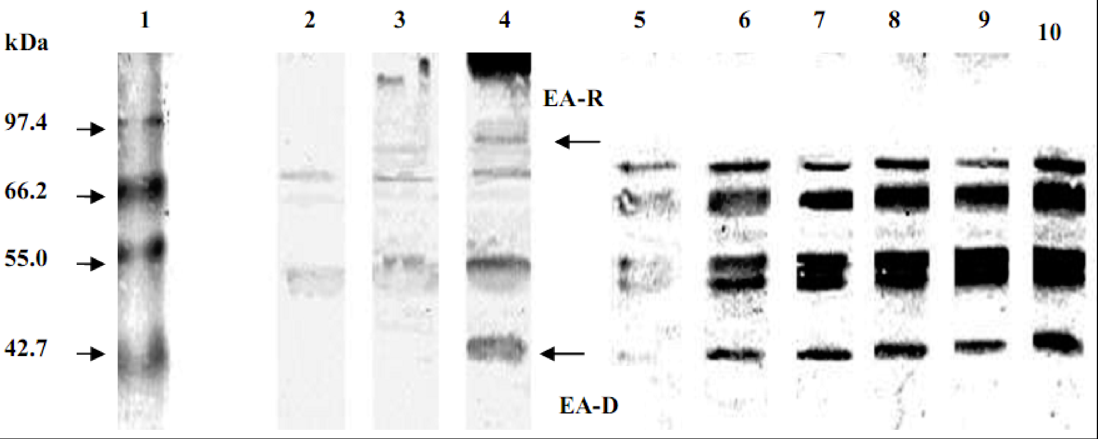 Molecules 17 04651 g003
