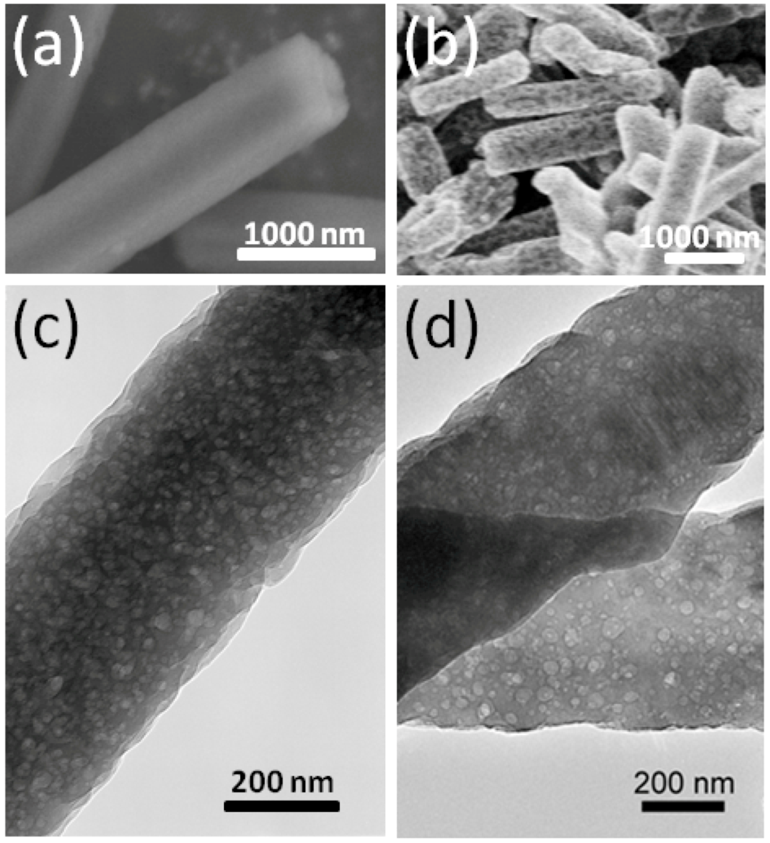 Molecules 17 04851 g001