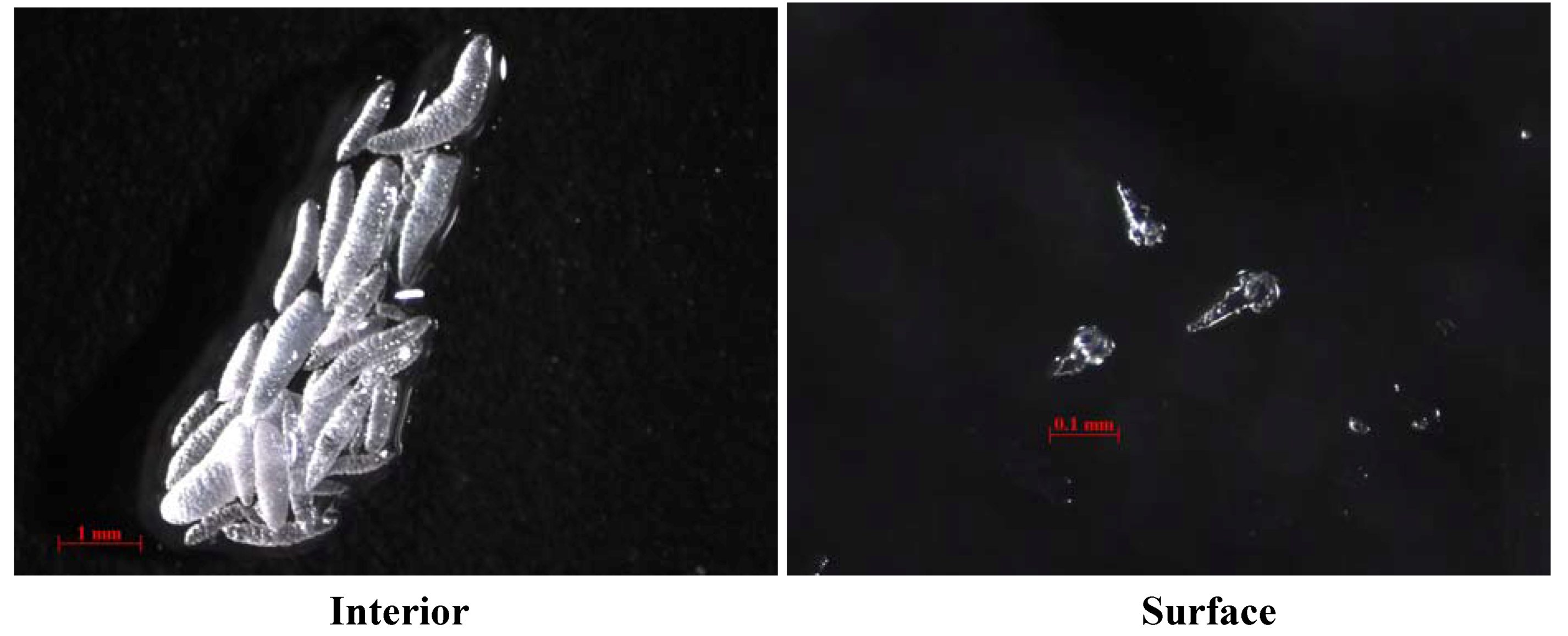 Molecules 17 05422 g005 550