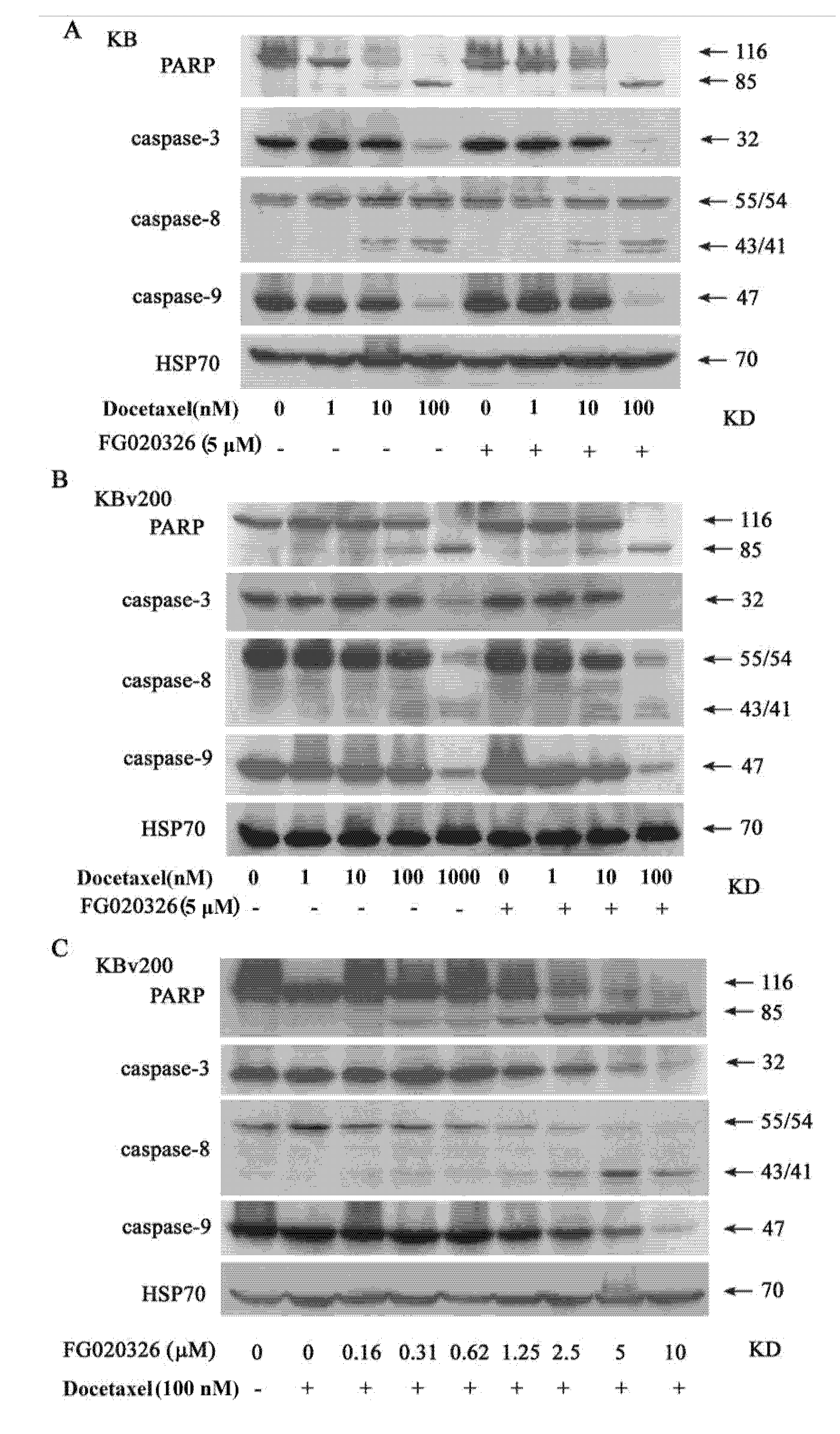 Molecules 17 05442 g004 550