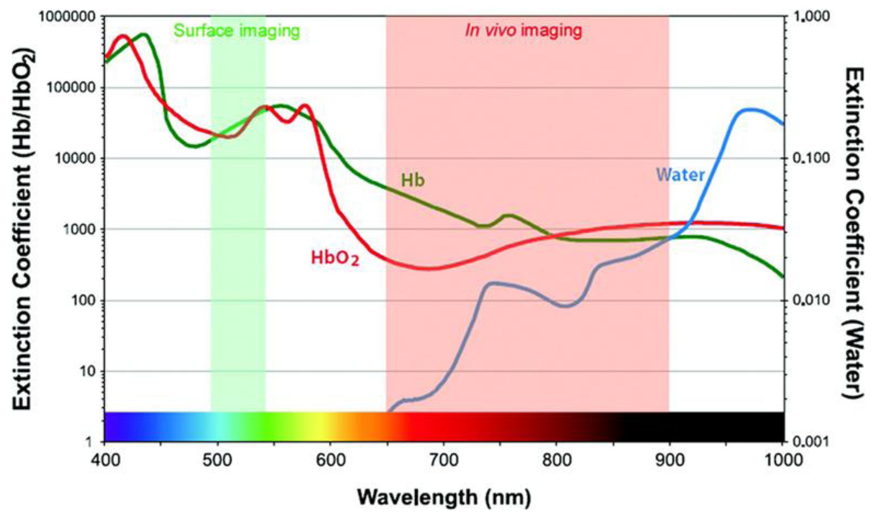 Molecules 17 05564 g001