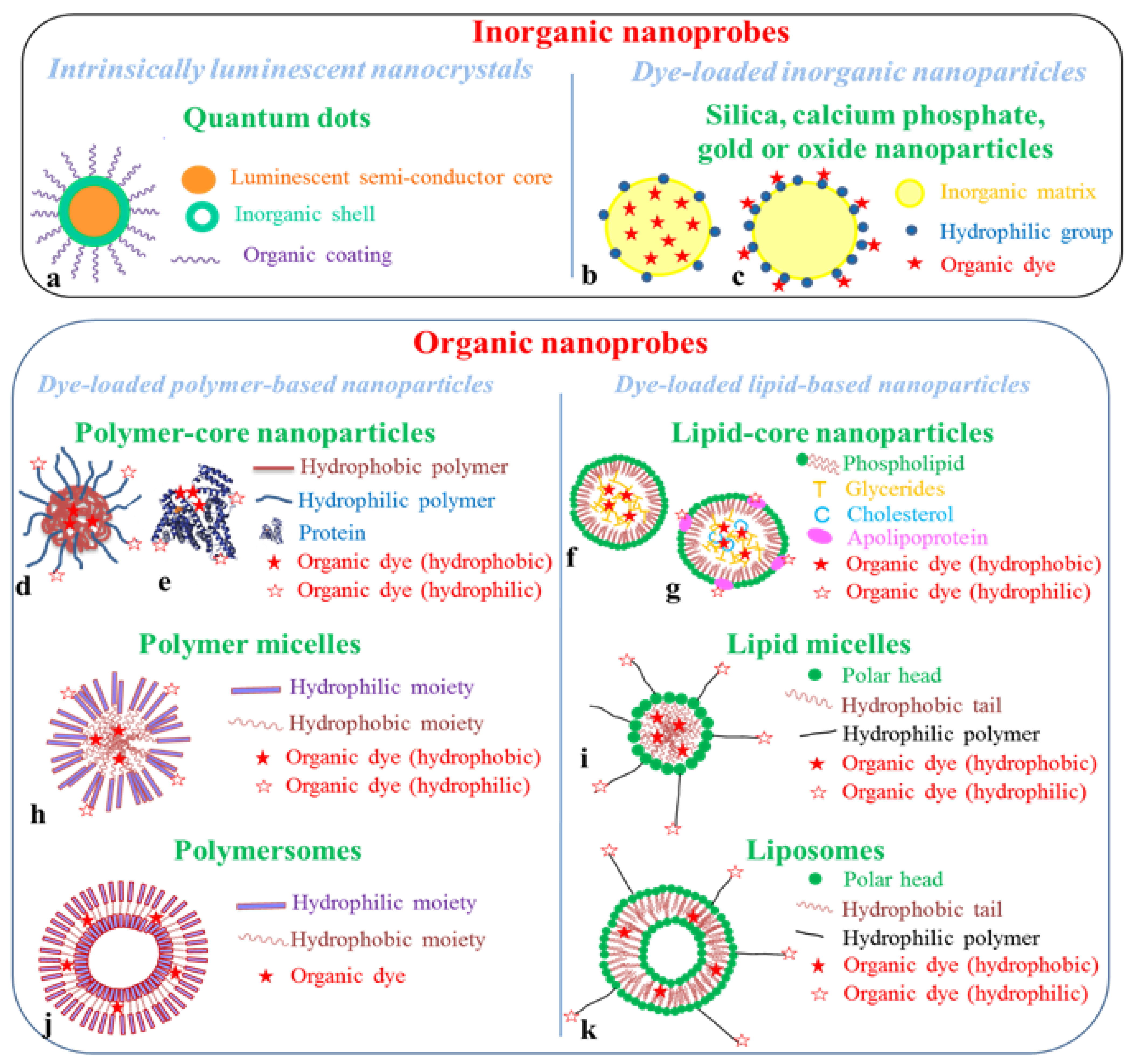 Molecules 17 05564 g006