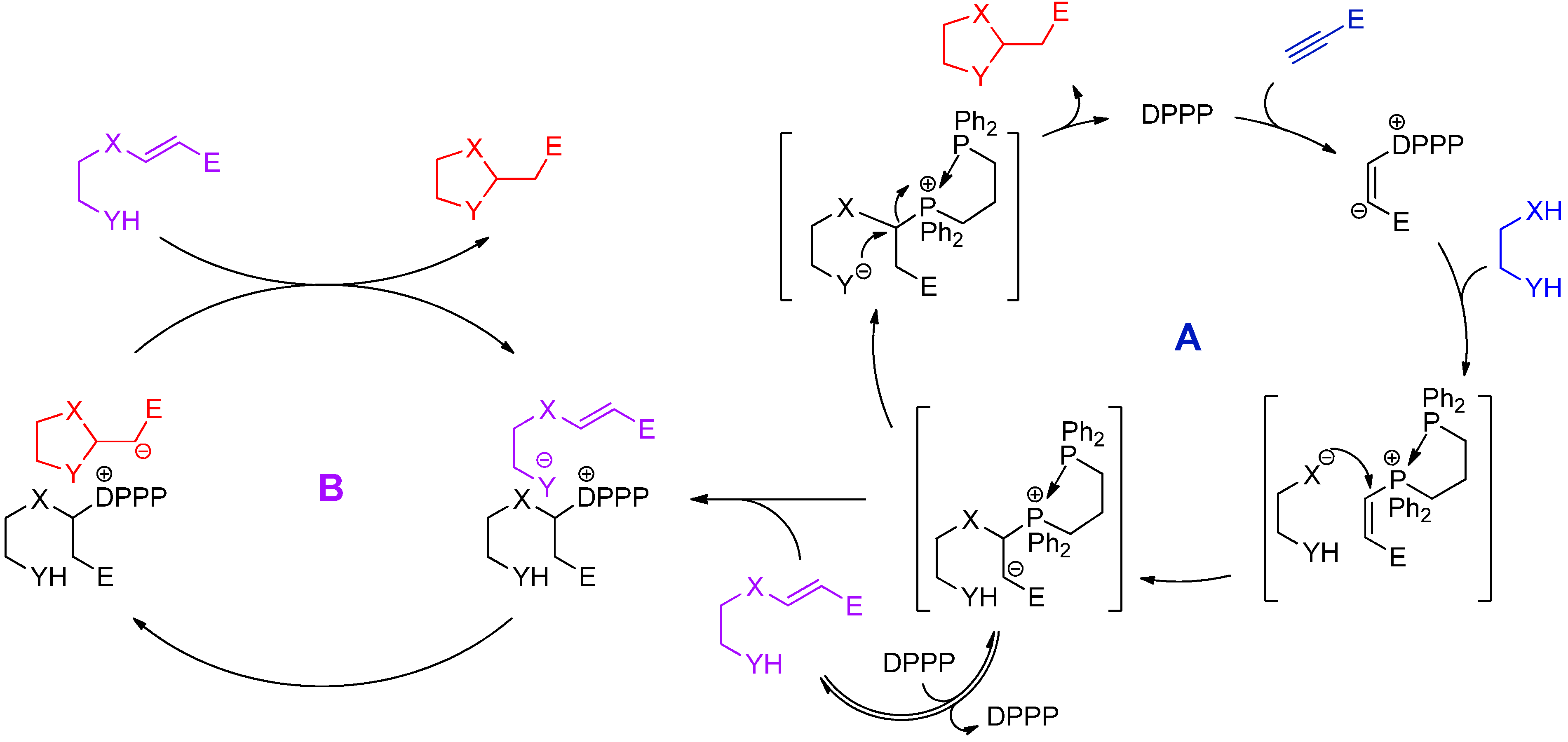 Molecules 17 05626 g006 550