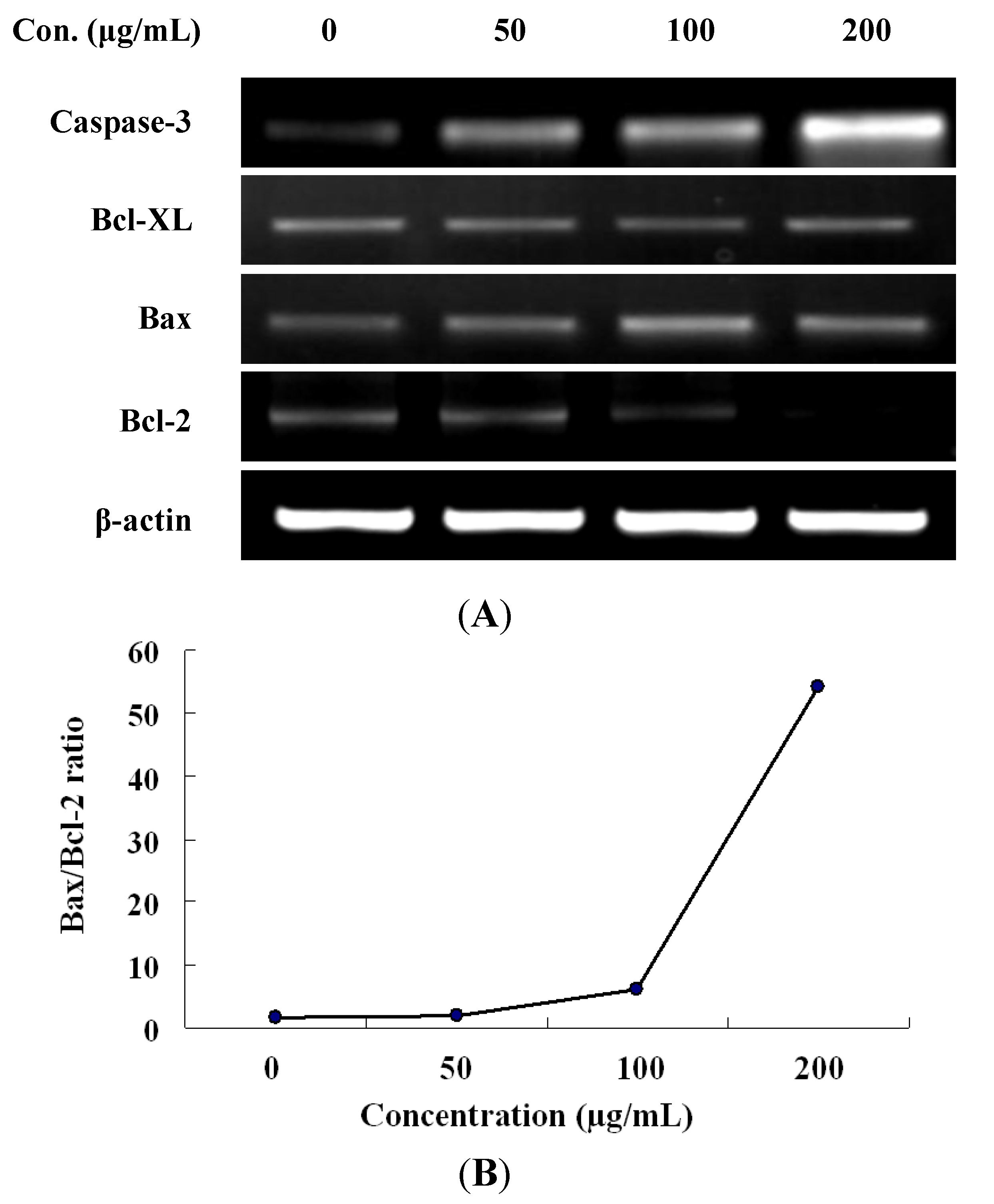 Molecules 17 05780 g004 550