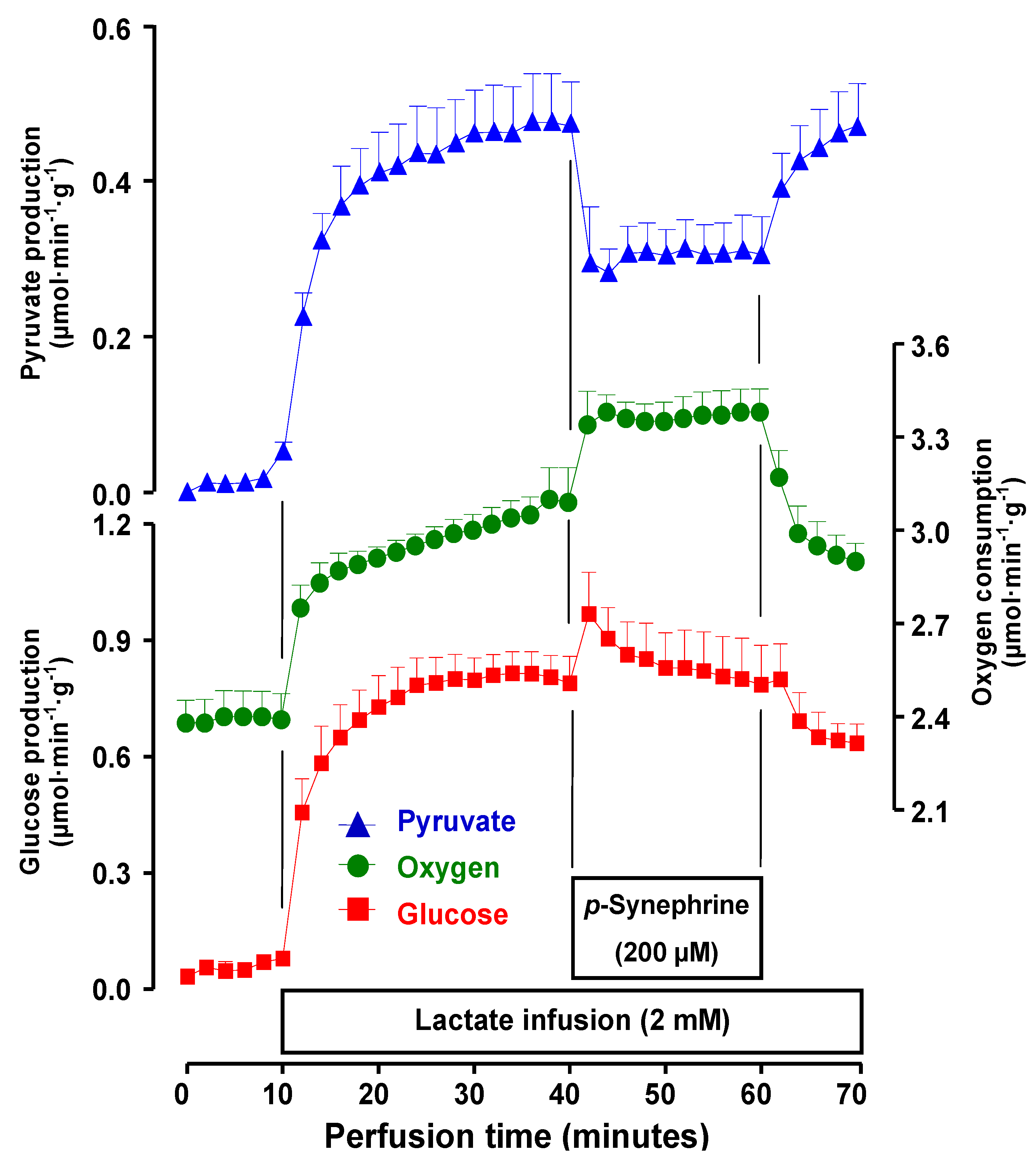 Molecules 17 05854 g008 550