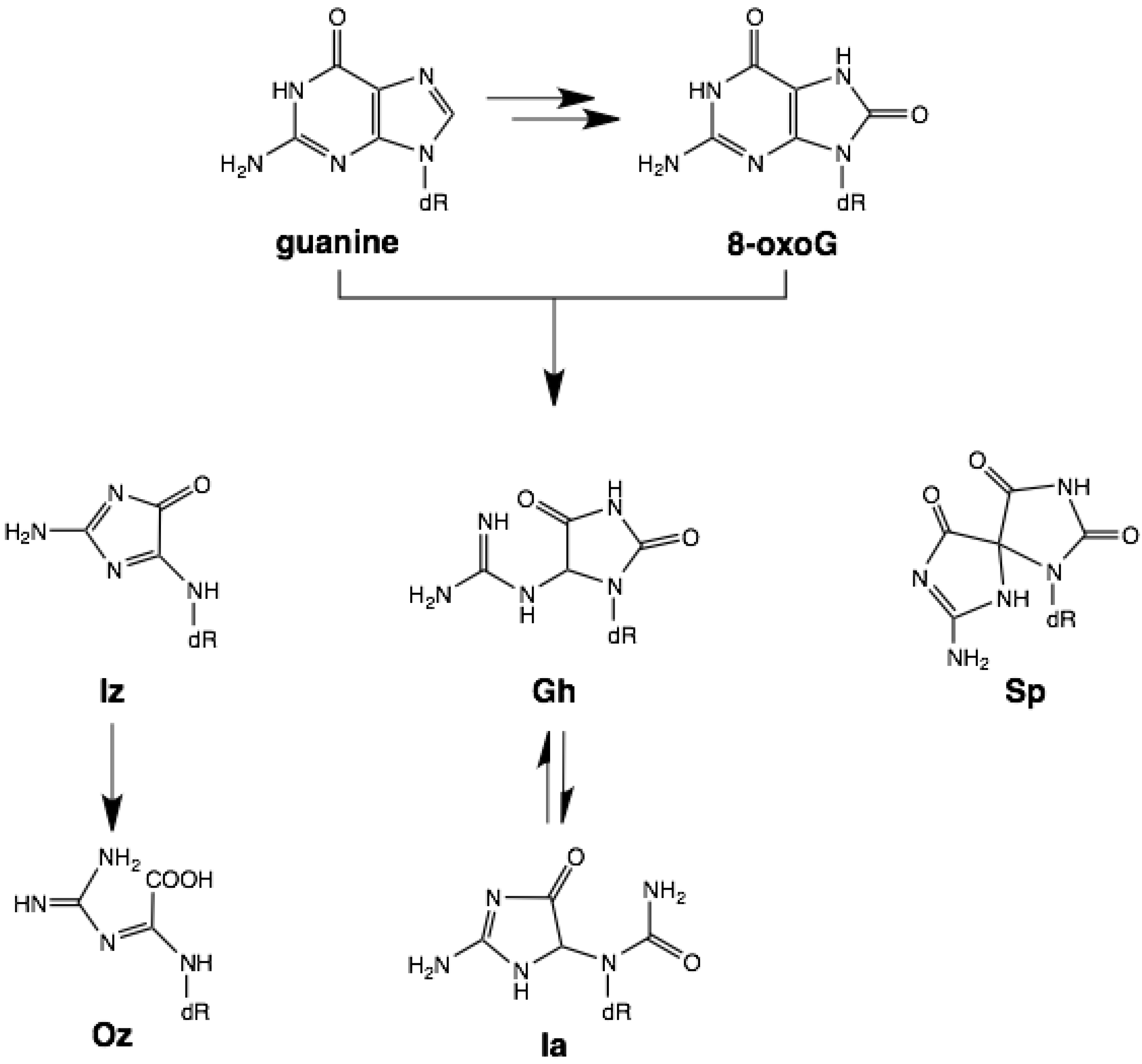 Molecules 17 06705 g005 550