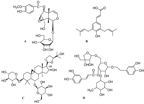 スーパーセール期間限定 The Role of Bioactive Compounds on the Promotion of Neurite K-POP・アジア