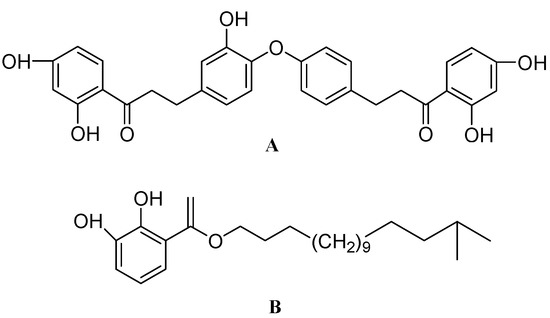 The Role of Bioactive Compounds on the Promotion of Neurite