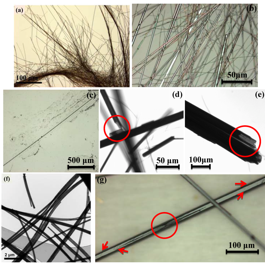 Molecules 17 06840 g002